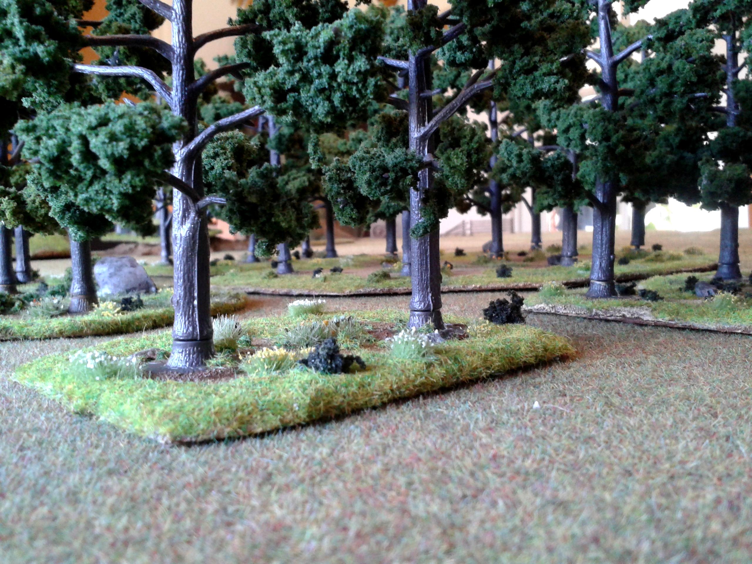 Terrain