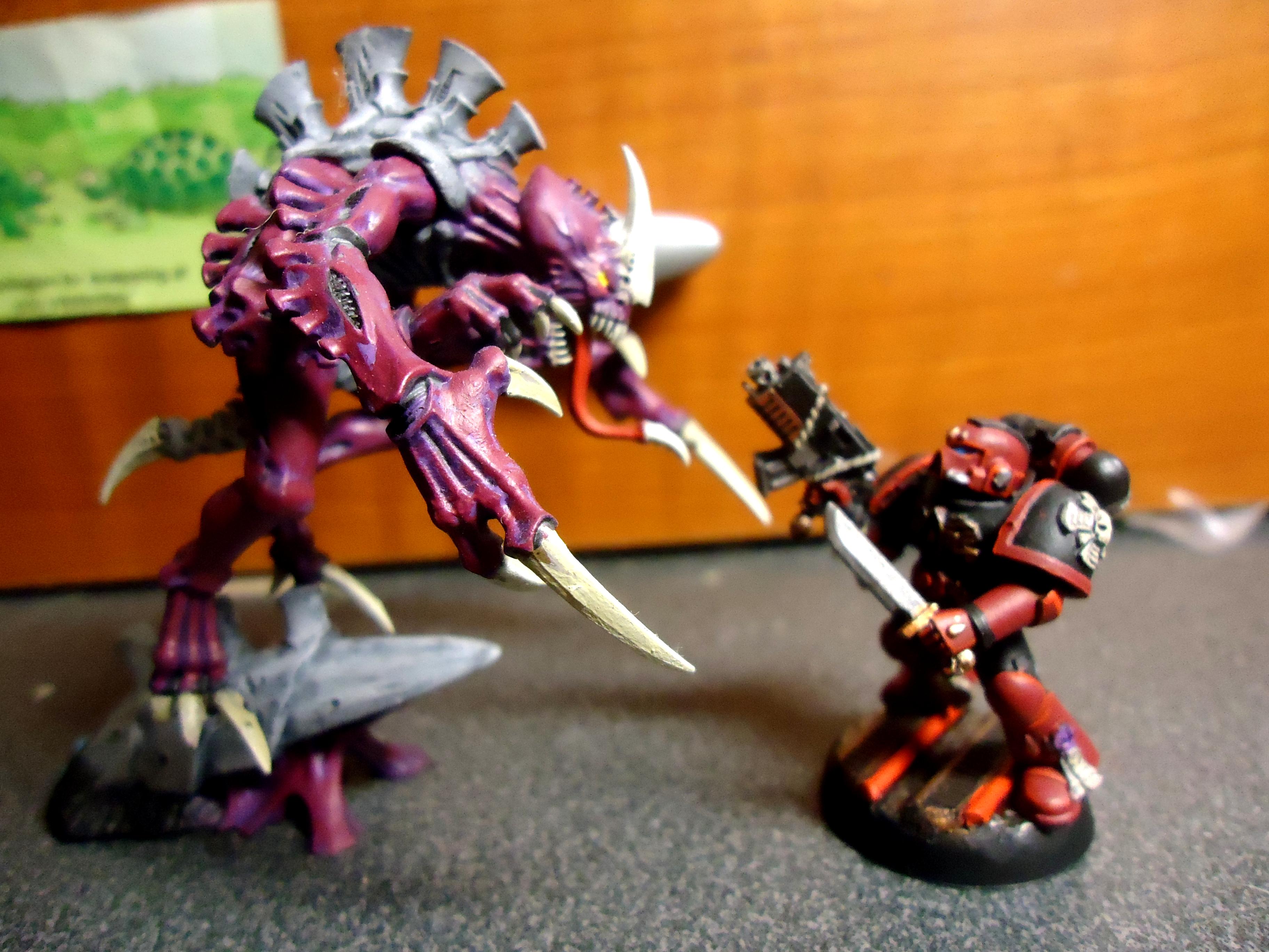 Space Marine Bikes, Space Marines, Tactical Squad, Work In Progress