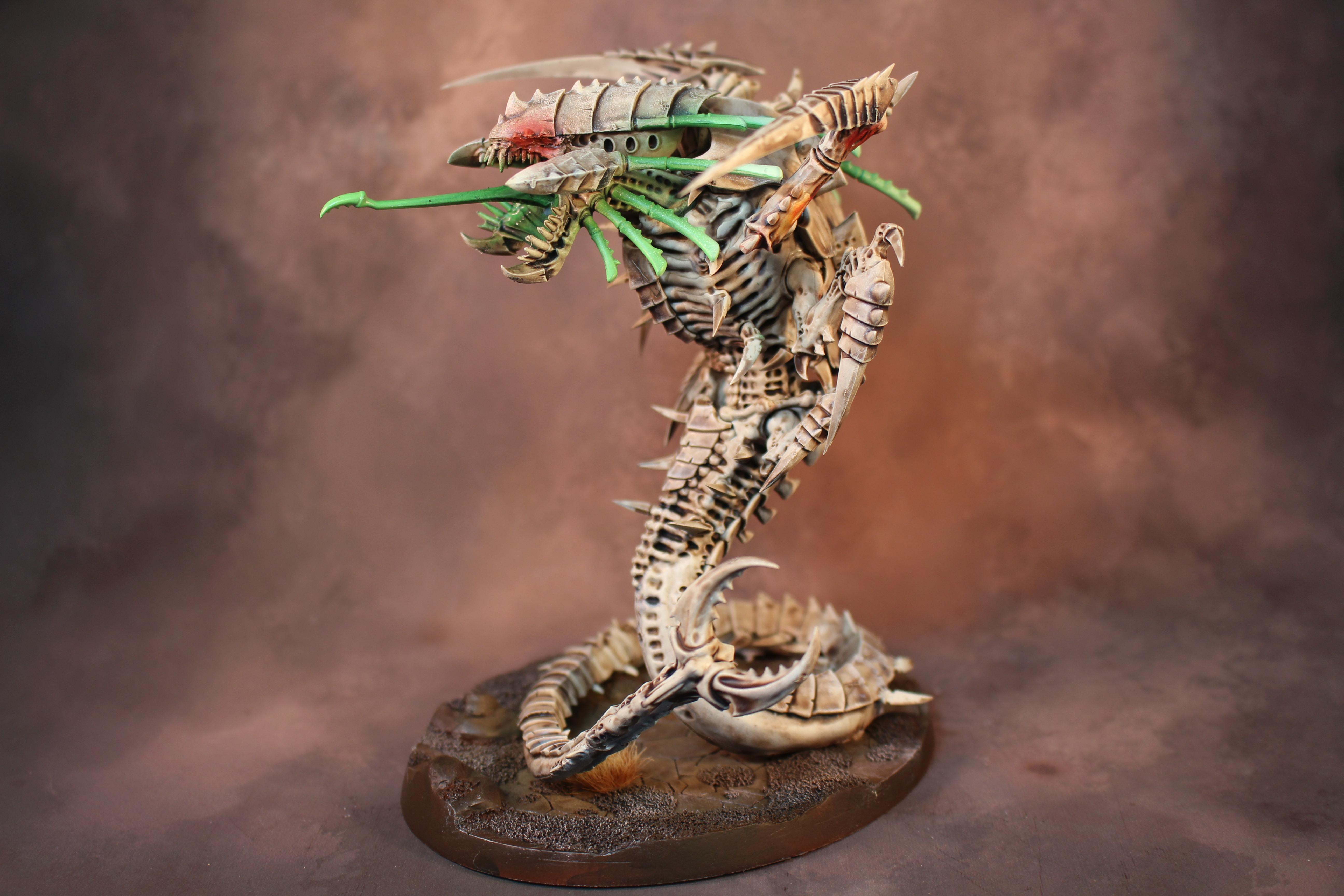 Mawloc, Tyranids