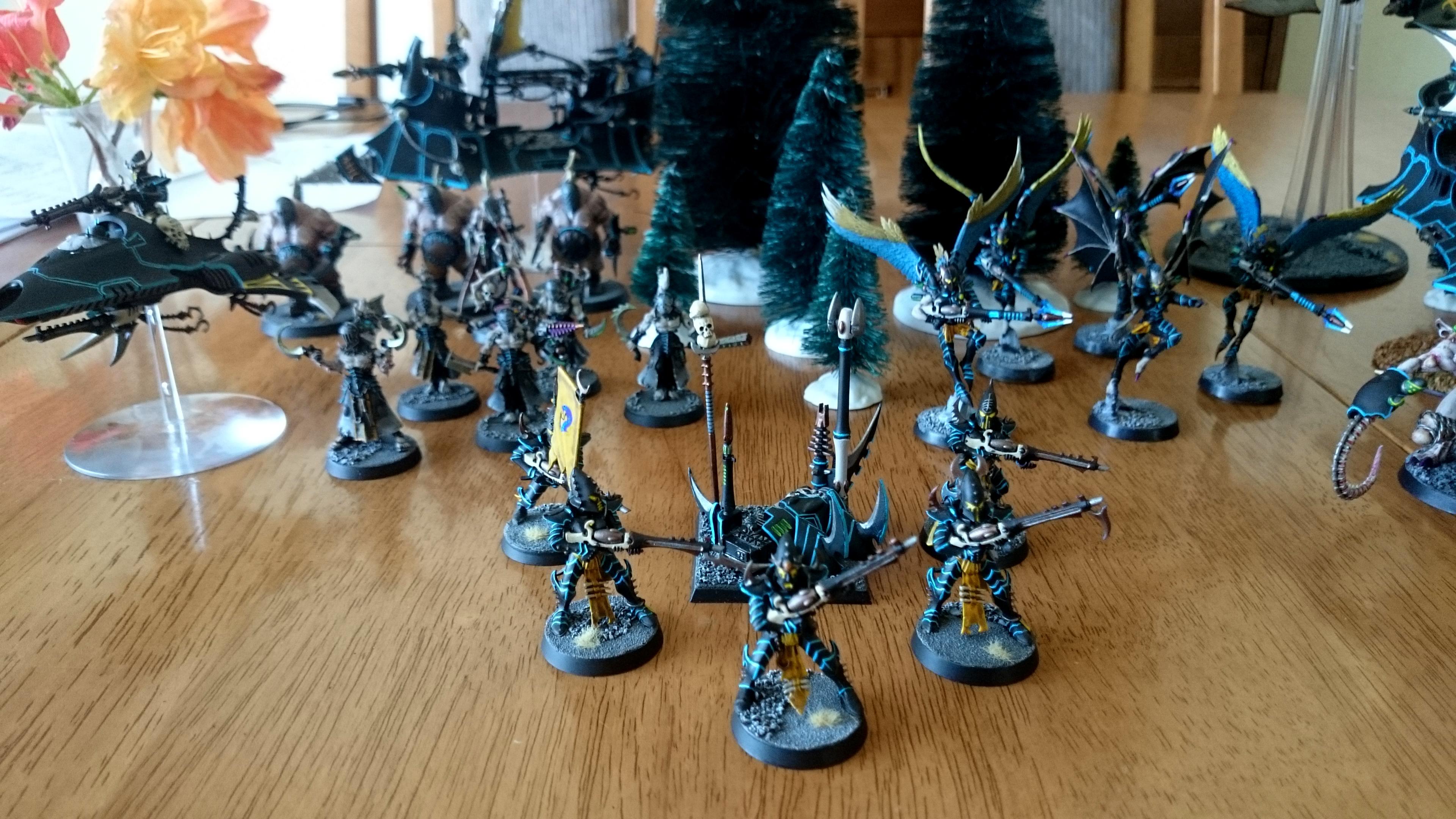Dark Eldar, Dark Eldar Army