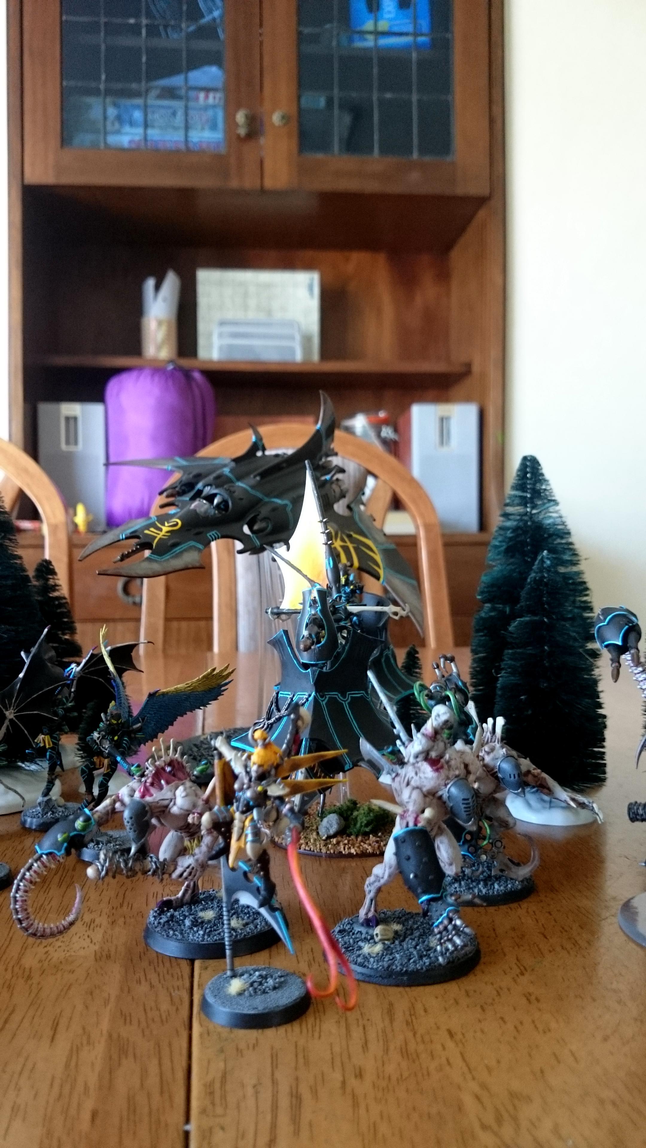 Dark Eldar, Dark Eldar Army