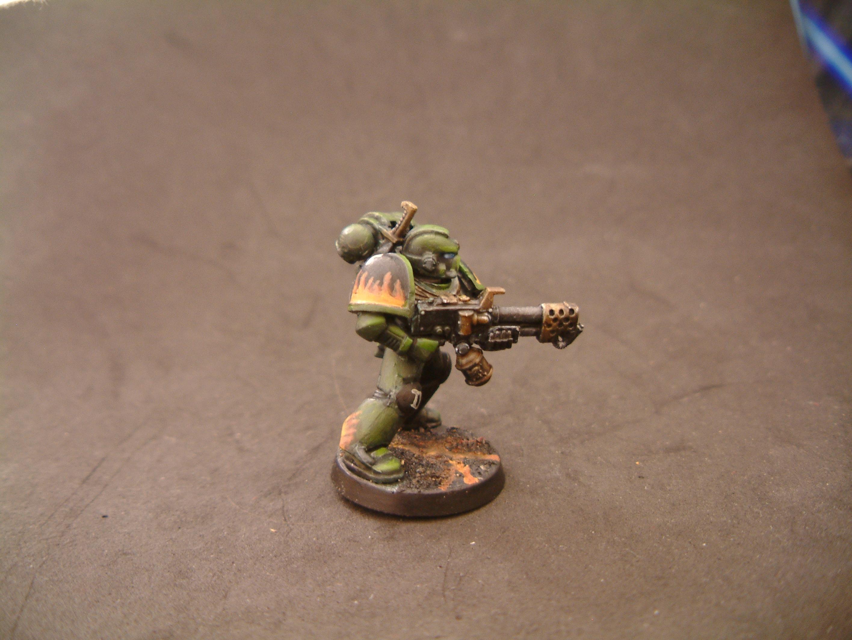 Salamander Test