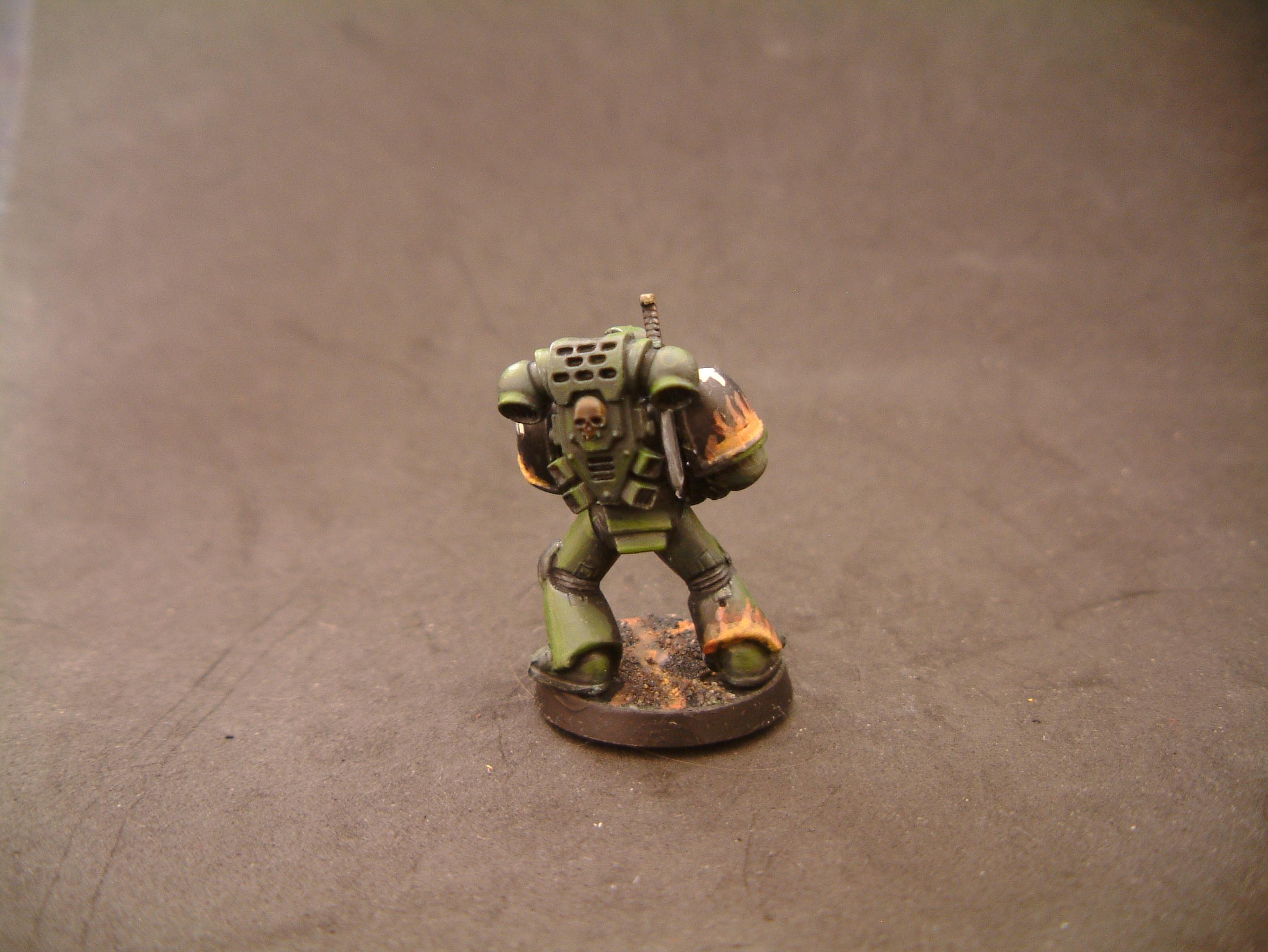 Salamander Test