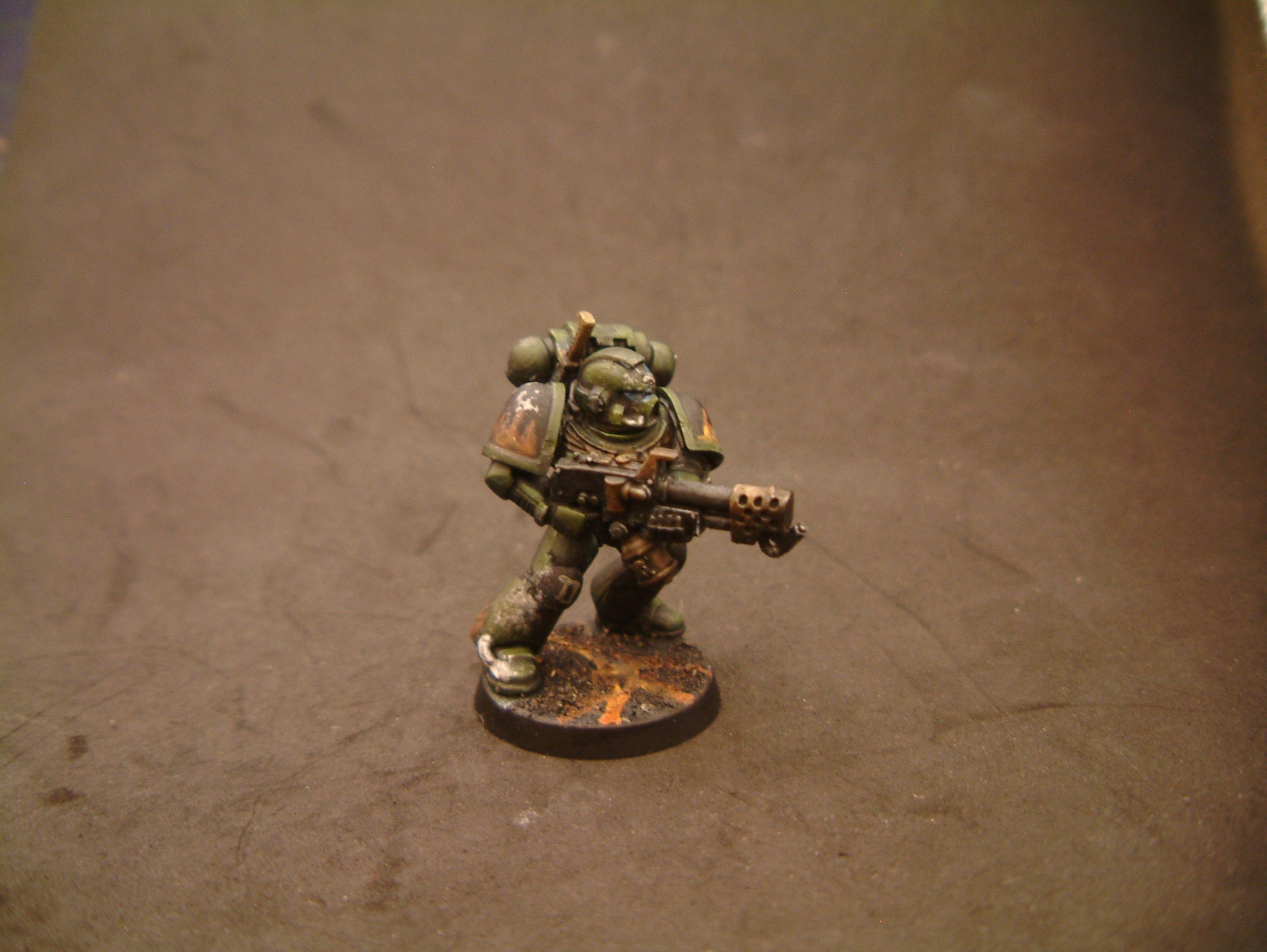 Salamander Test- Take 2 Weathering 