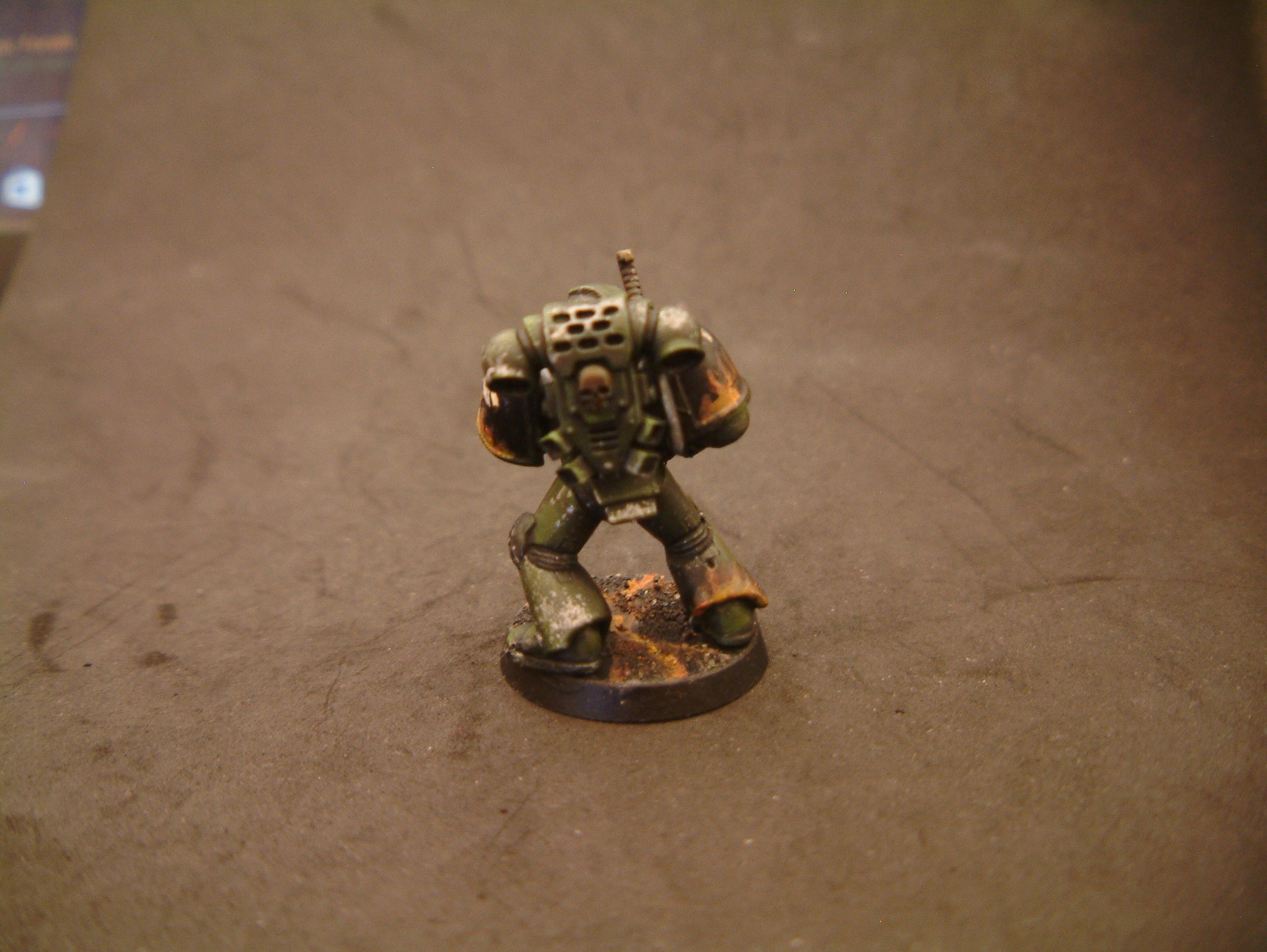 Salamander Test- Take 2 Weathering 