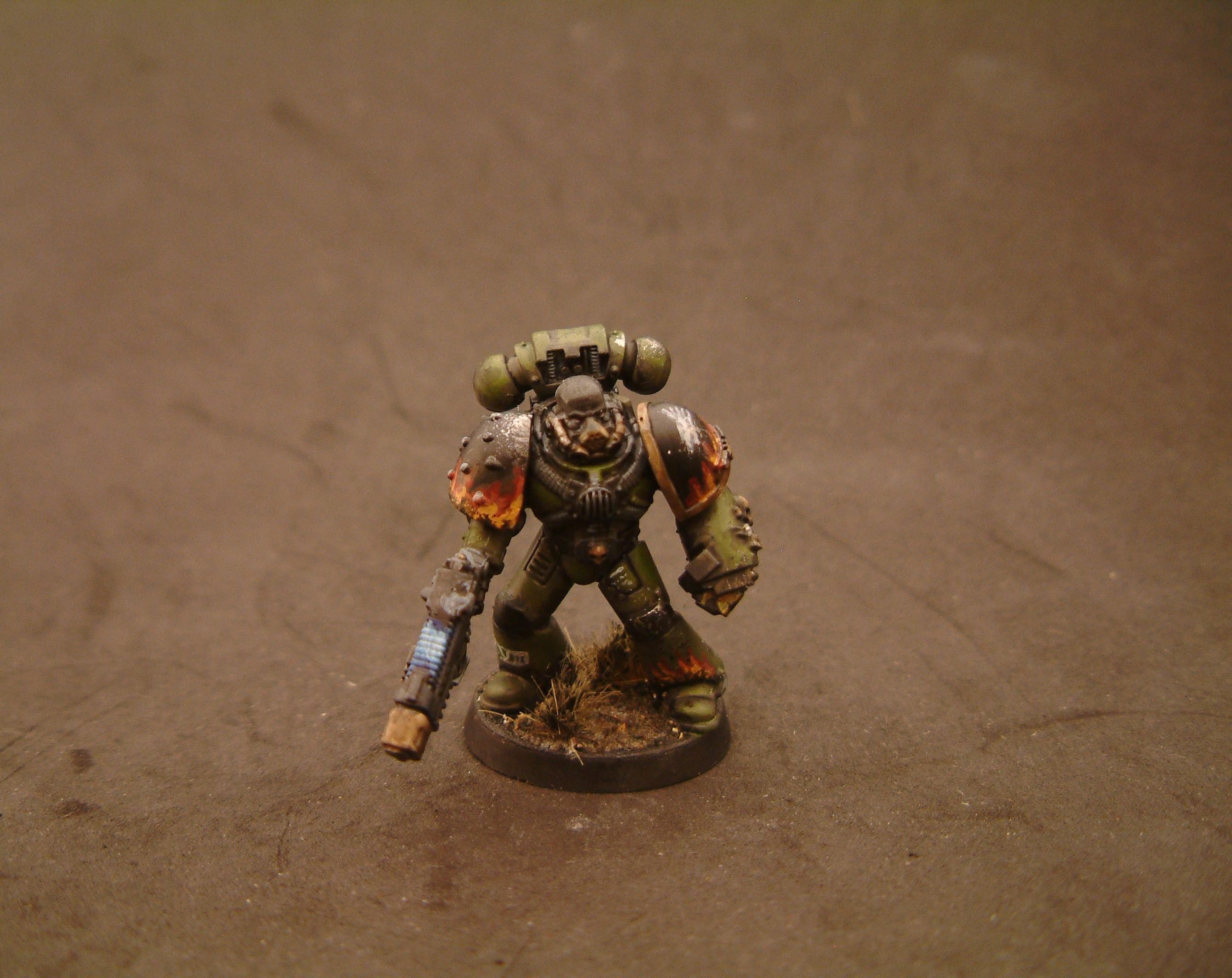 Salamander Test- Take 3 