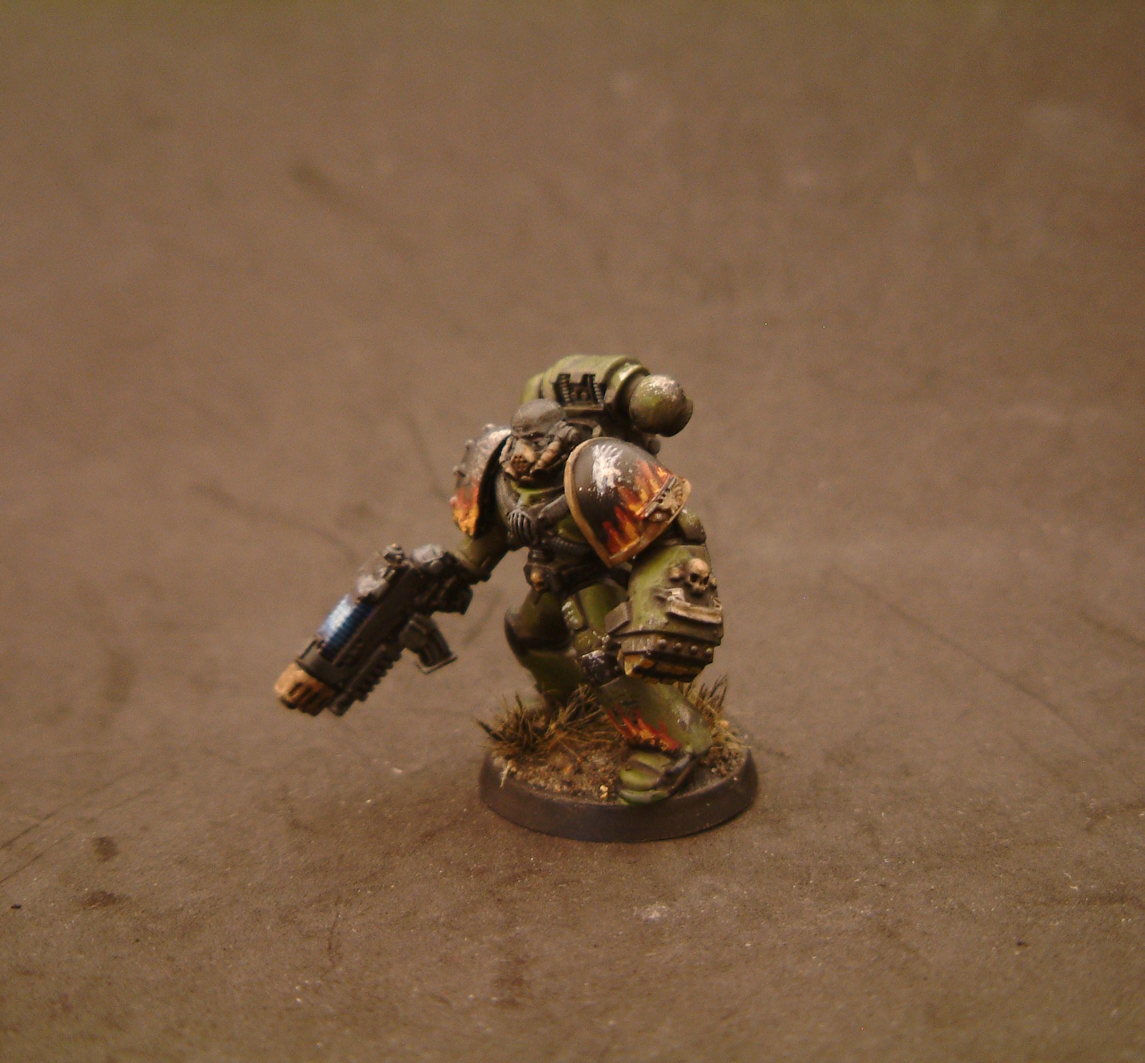 Salamander Test- Take 3 