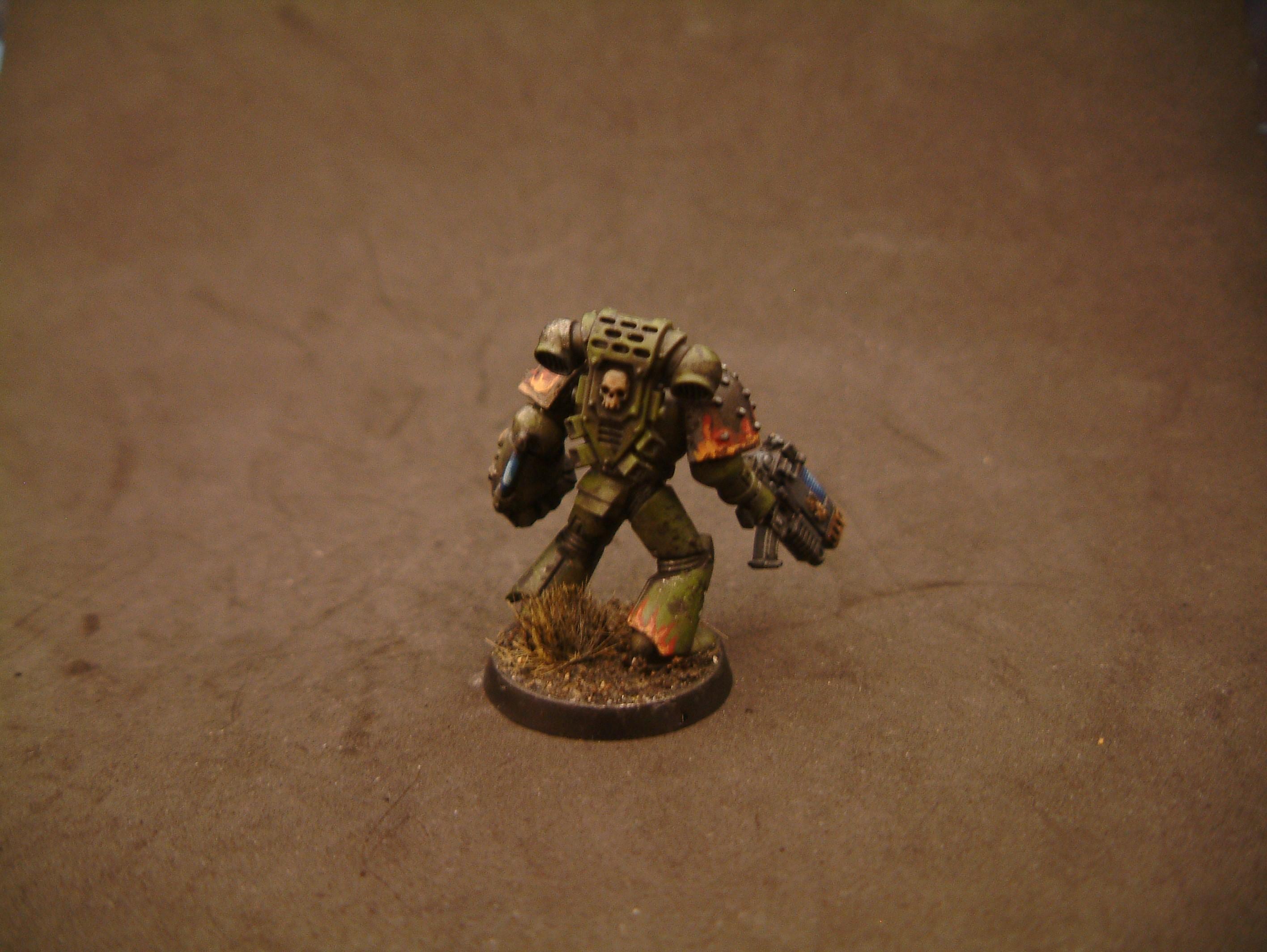 Salamander Test- Take 3 