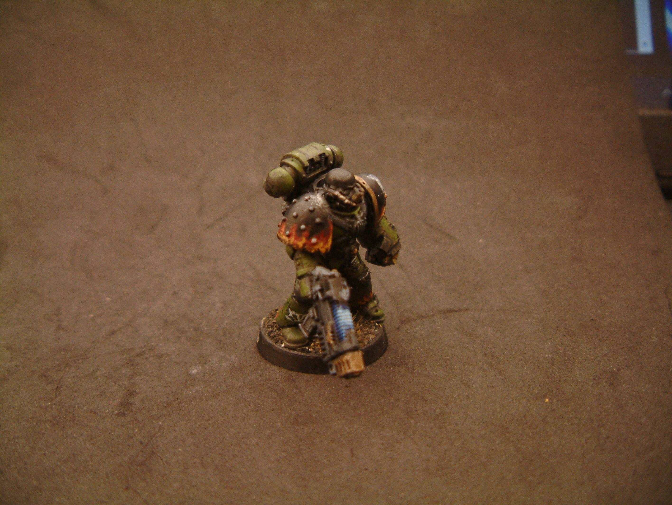 Salamander Test- Take 3 