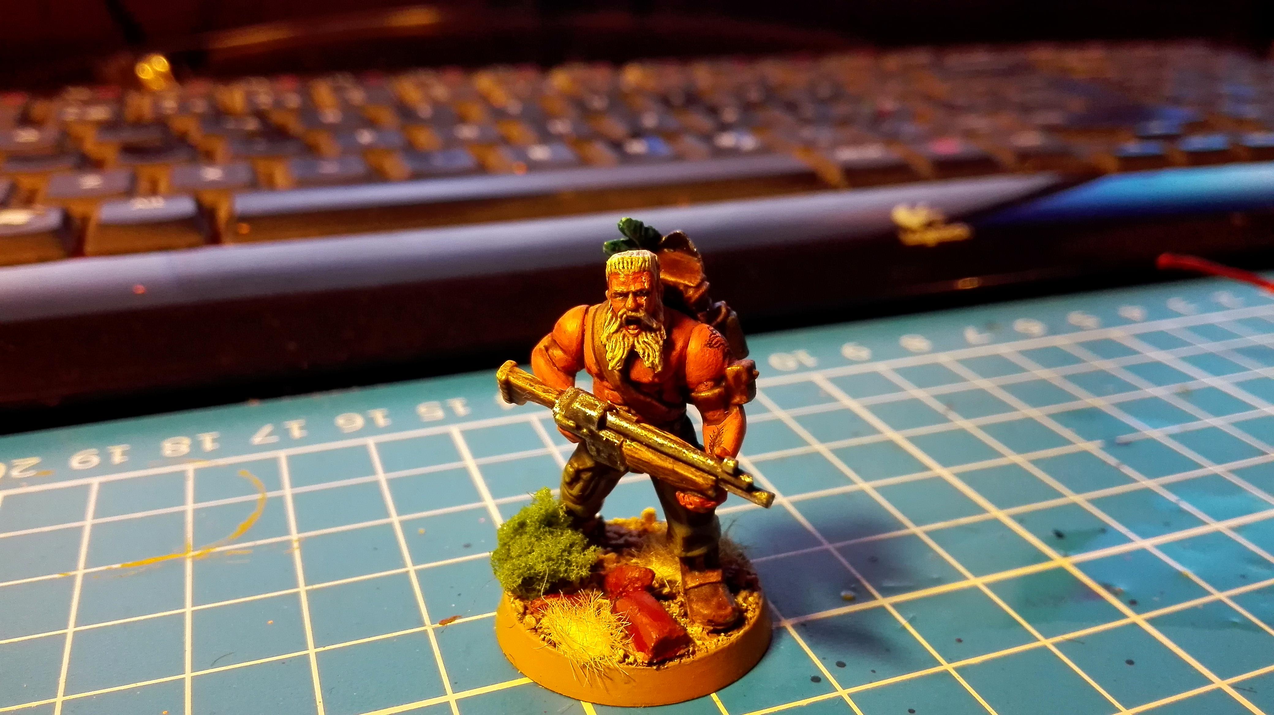 3rd, Astra, Camouflage, Conversion, Darkon, Guard, Imperial, Militarum, Wolf