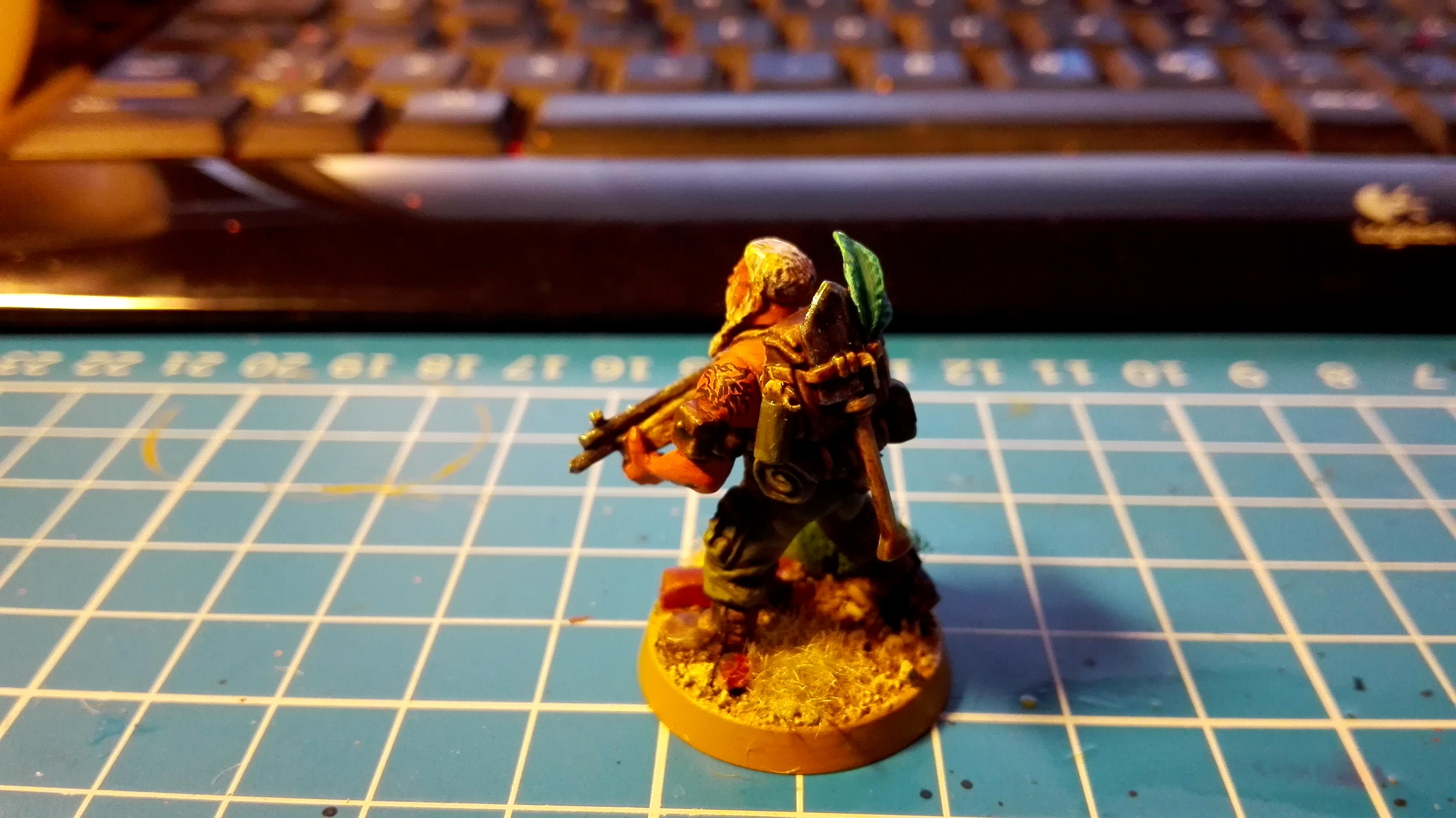 3rd, Astra, Camouflage, Conversion, Darkon, Guard, Imperial, Militarum, Wolf
