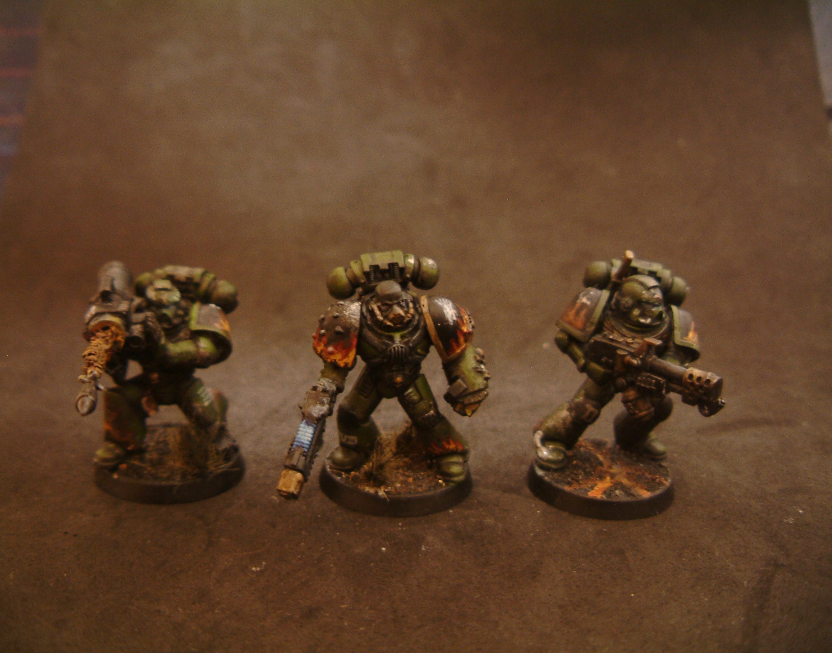 Salamanders 3 Ways