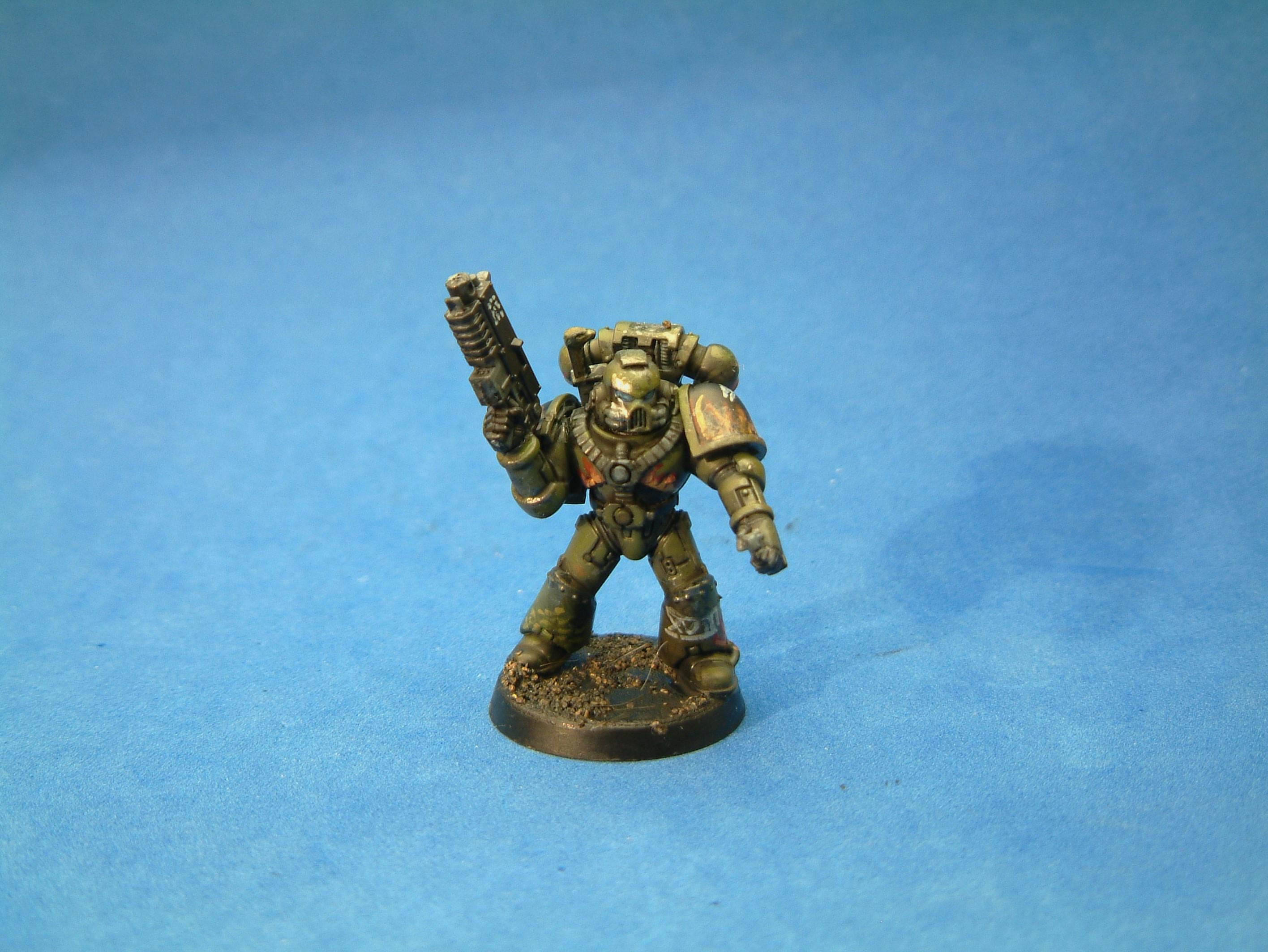 Salamander 5
