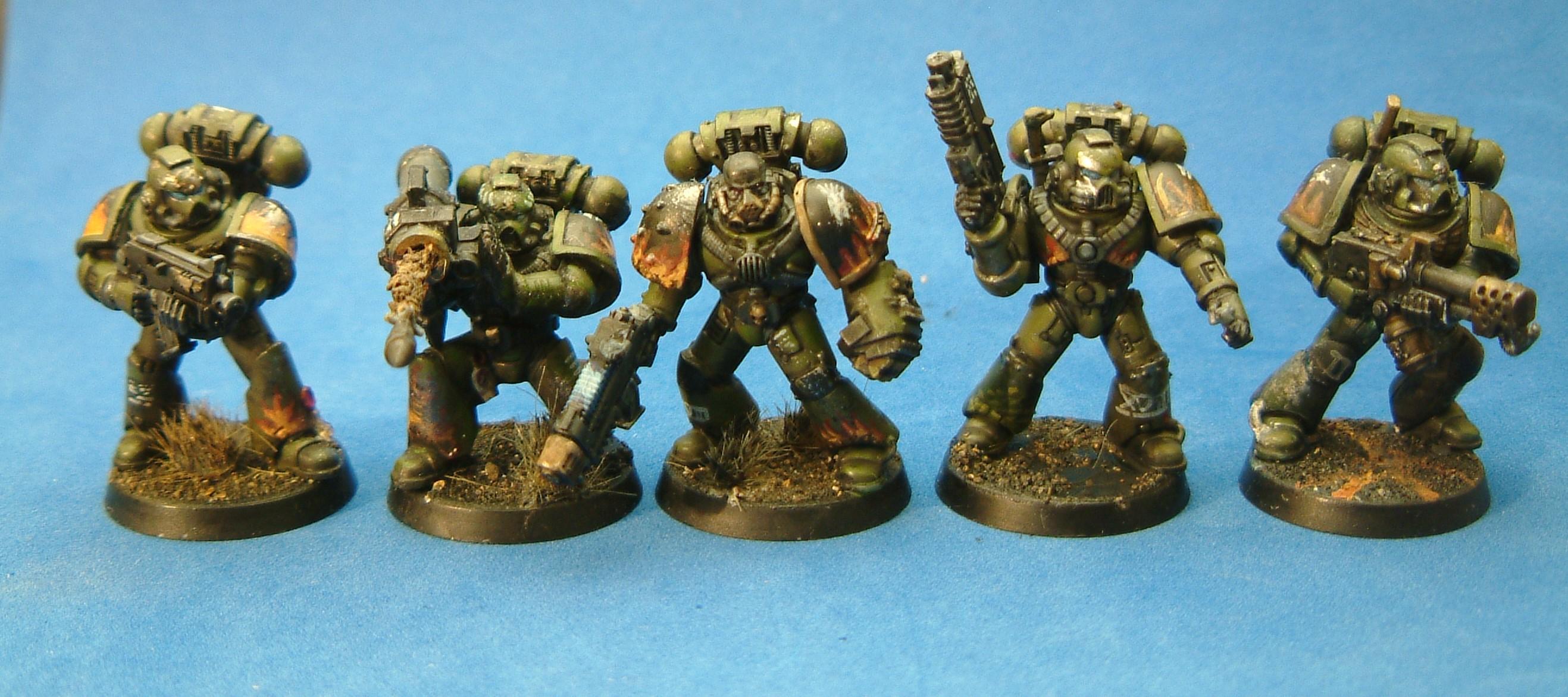 Salamanders 1-5