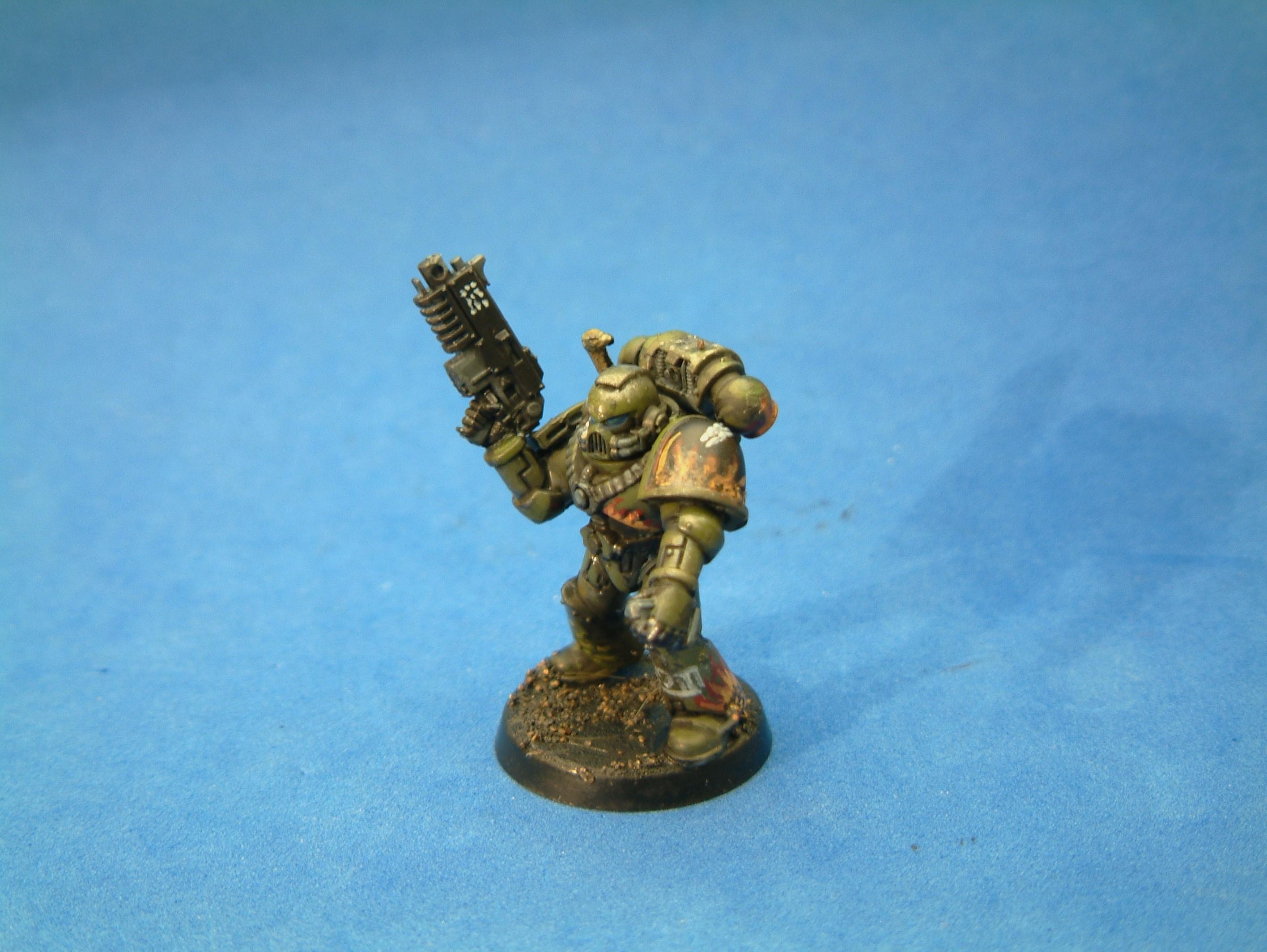 Salamander 5