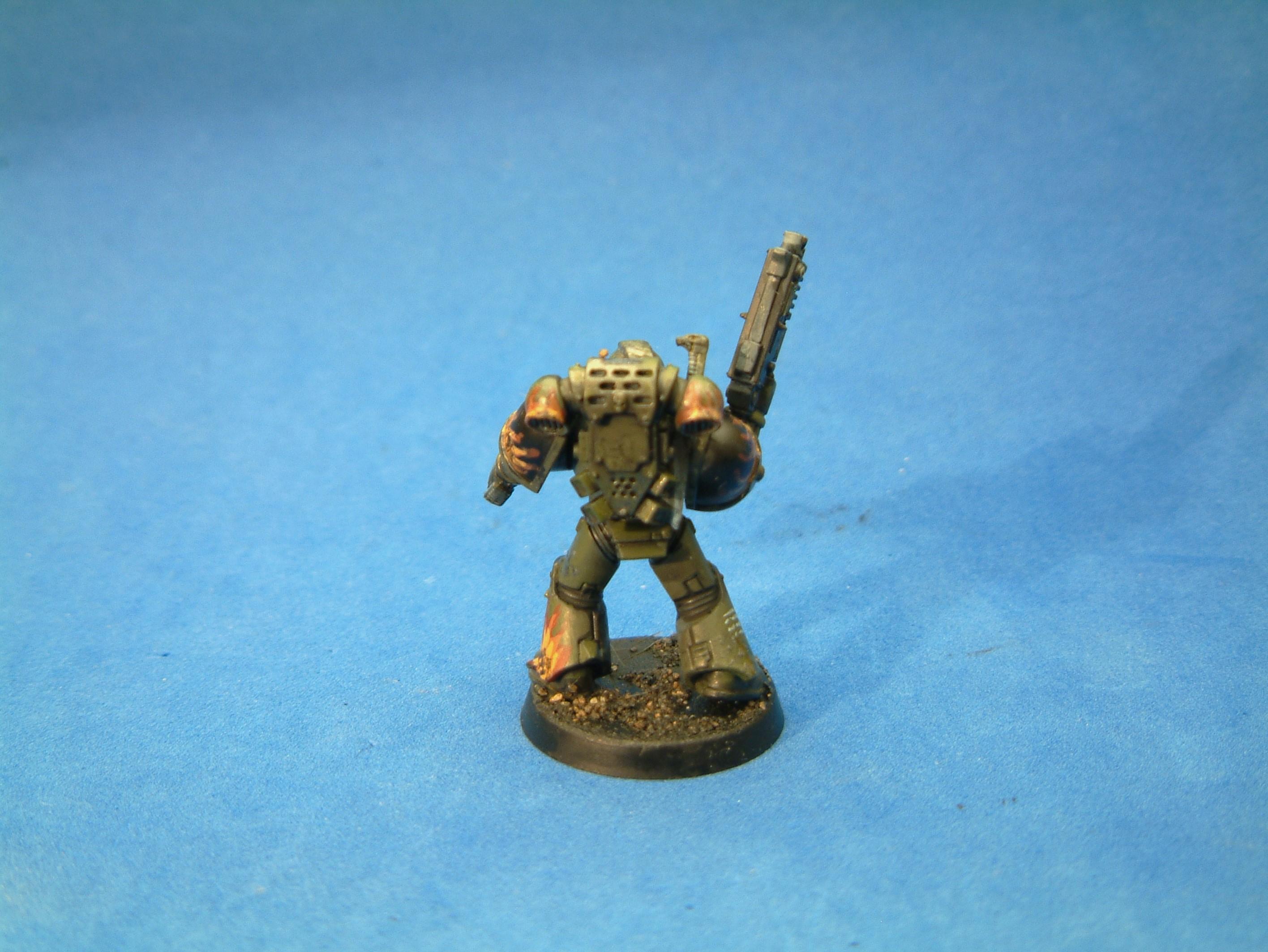 Salamander 5