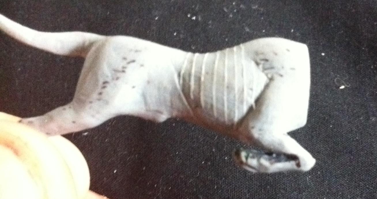 Marking out the rib cage
