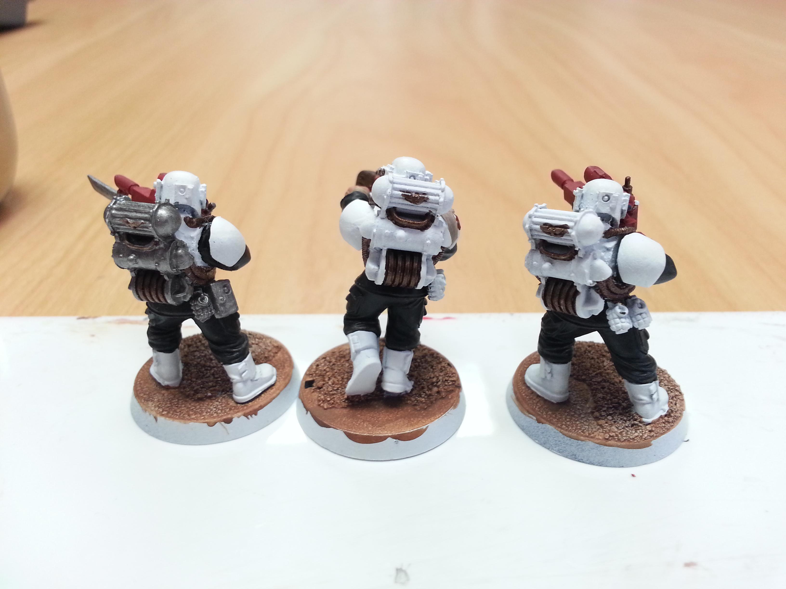 Coteaz Warband 2 WIP 3 Rear