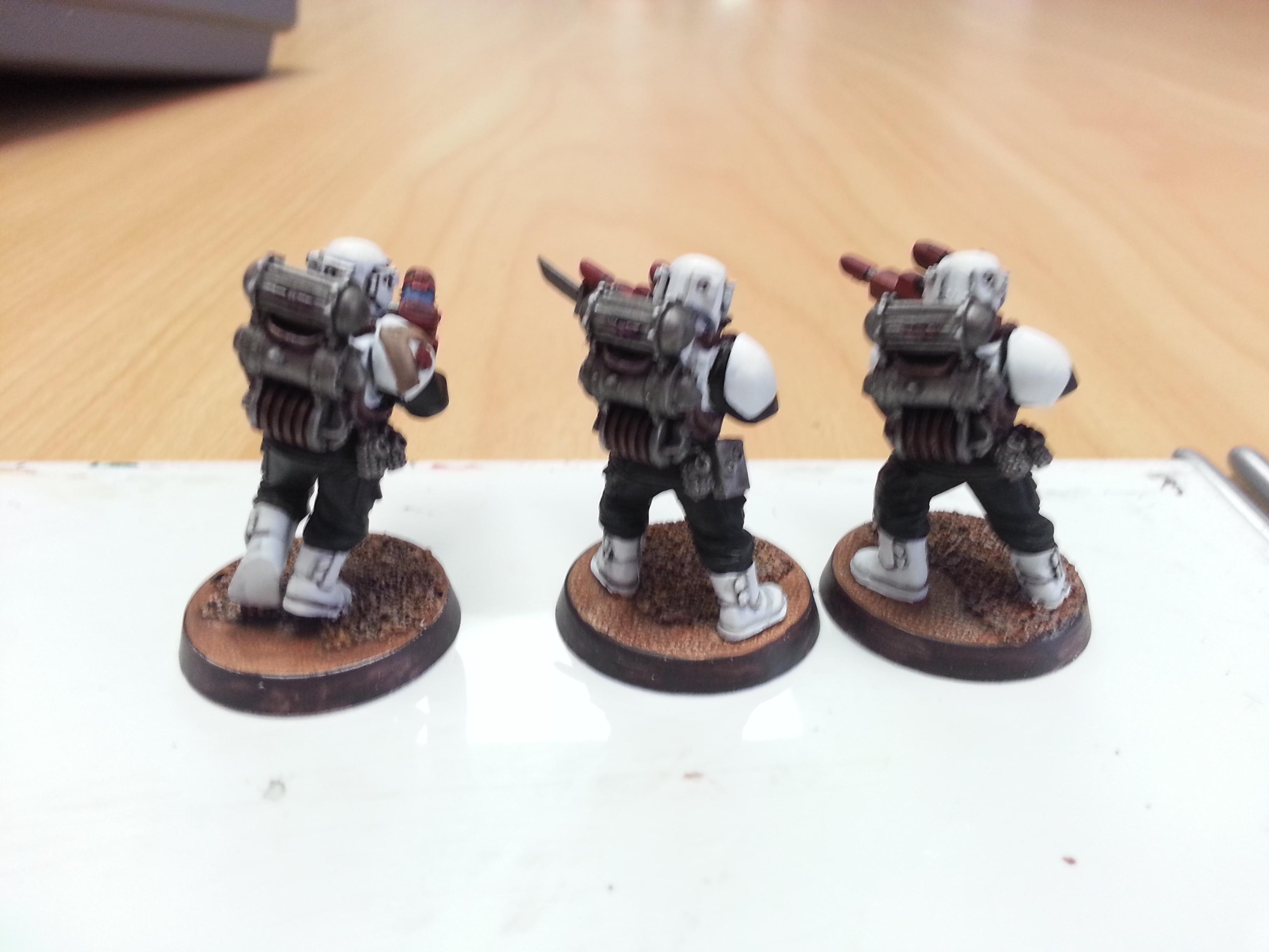 Coteaz Warband 2 WIP 4 Rear