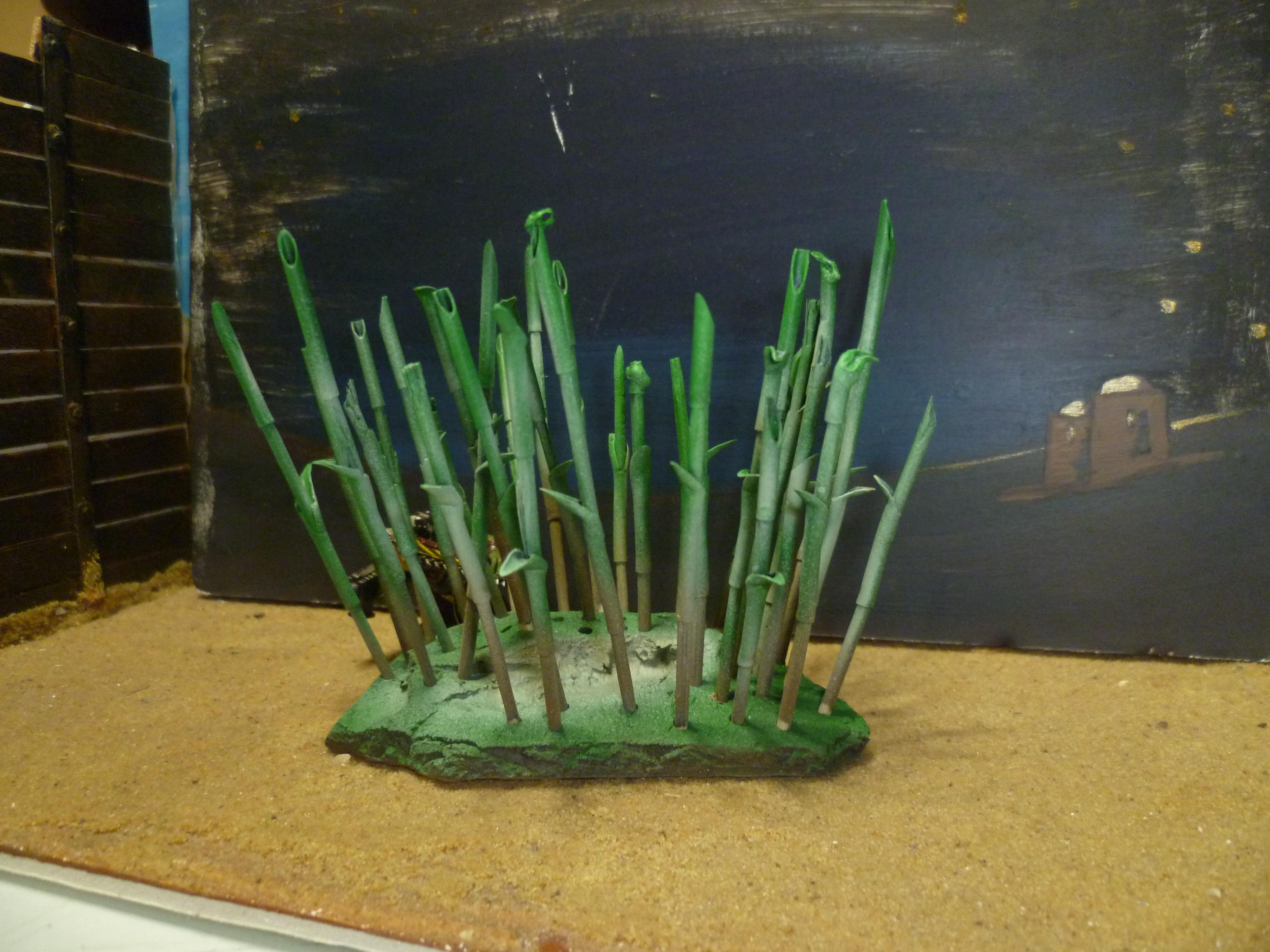 Bamboo forest