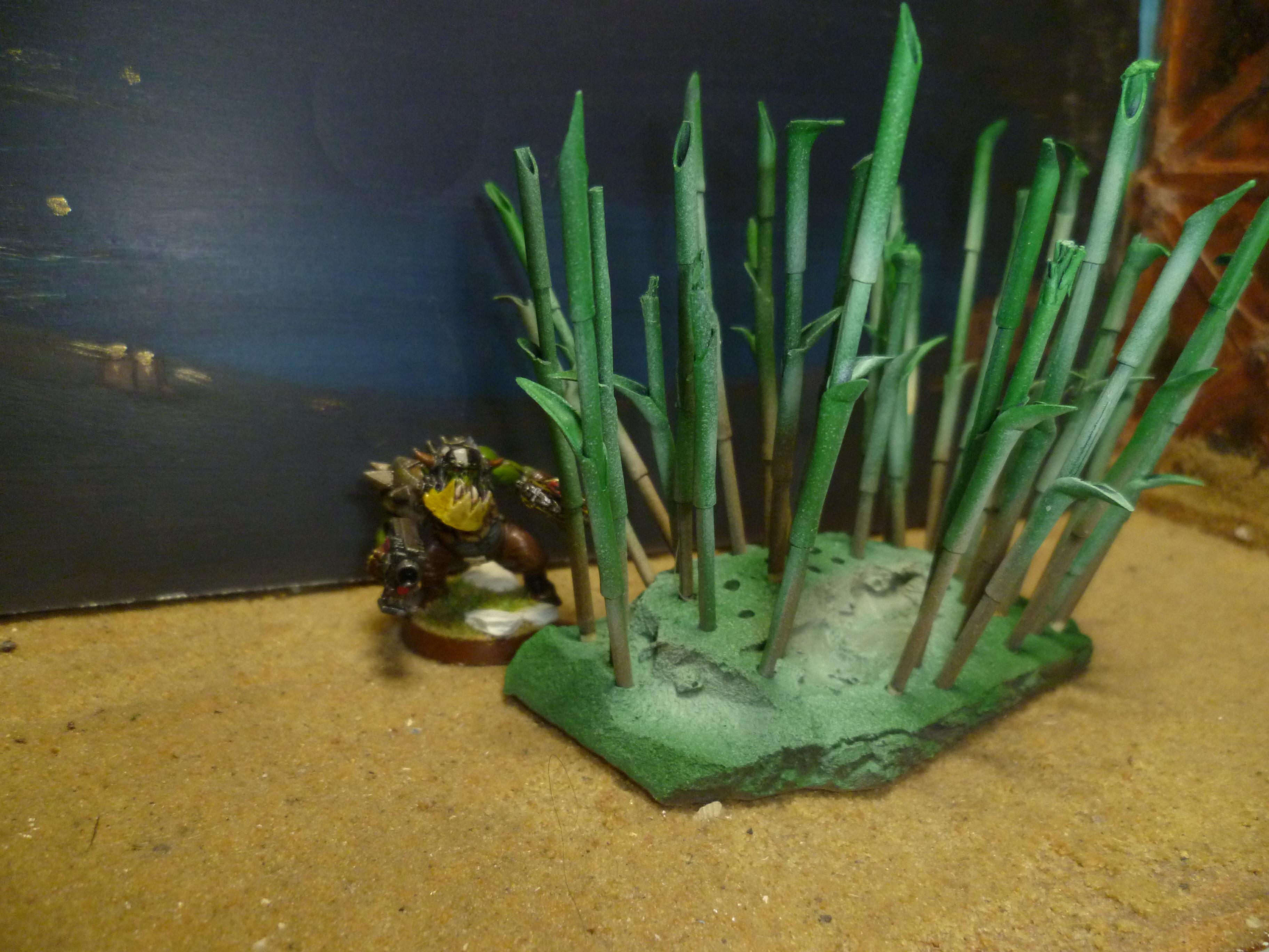 Bamboo forest