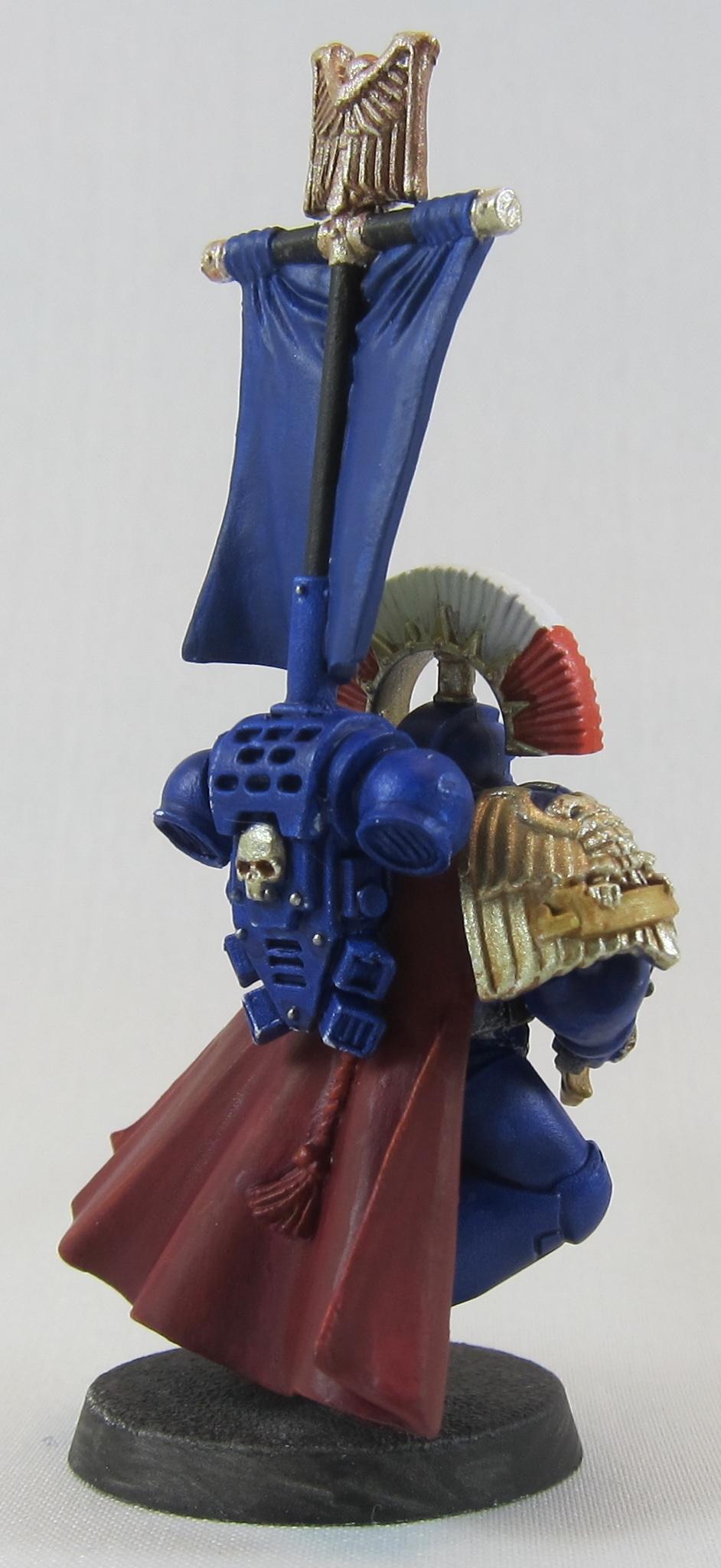 Cato WIP BR