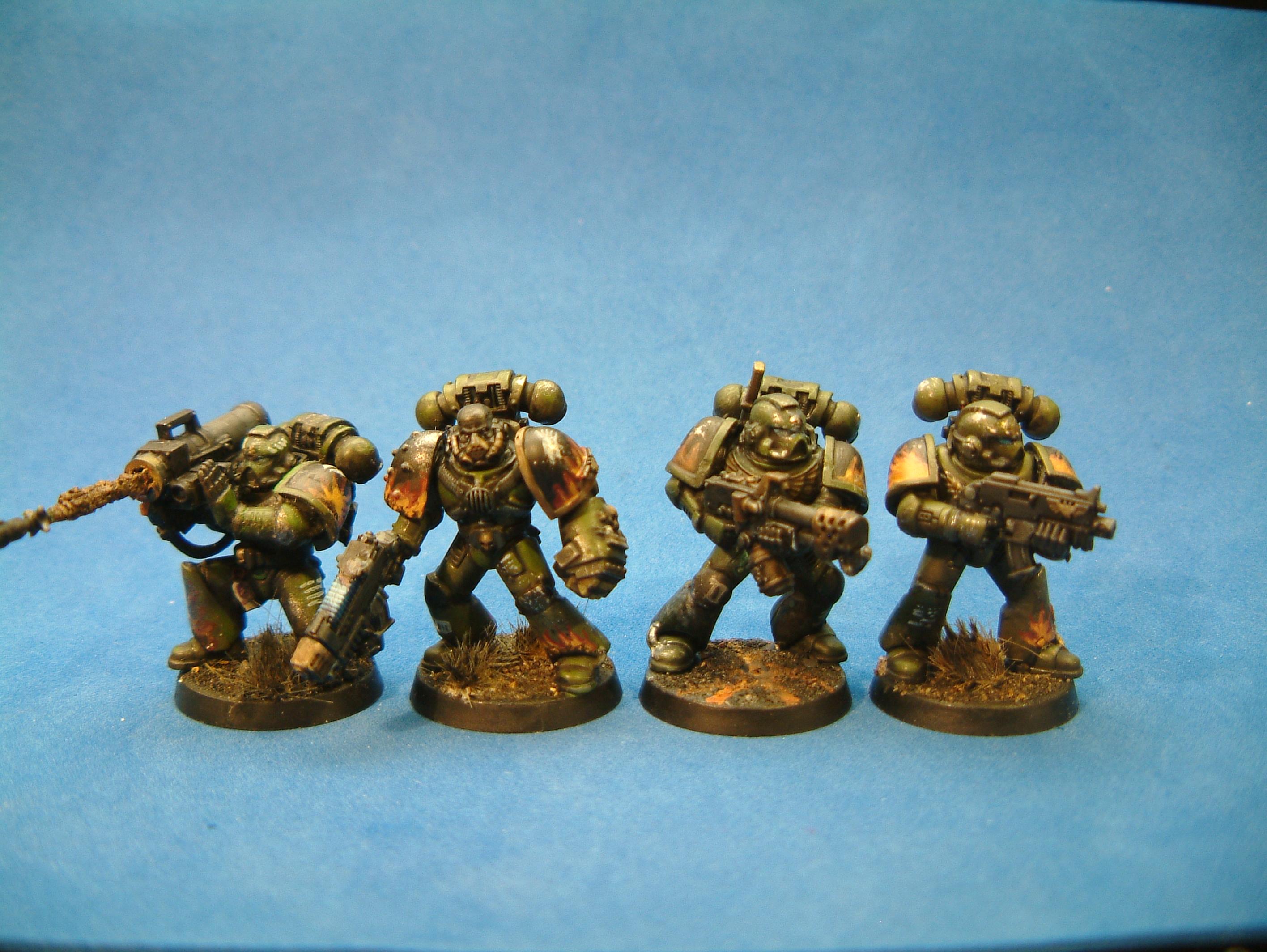 Salamanders 1-4