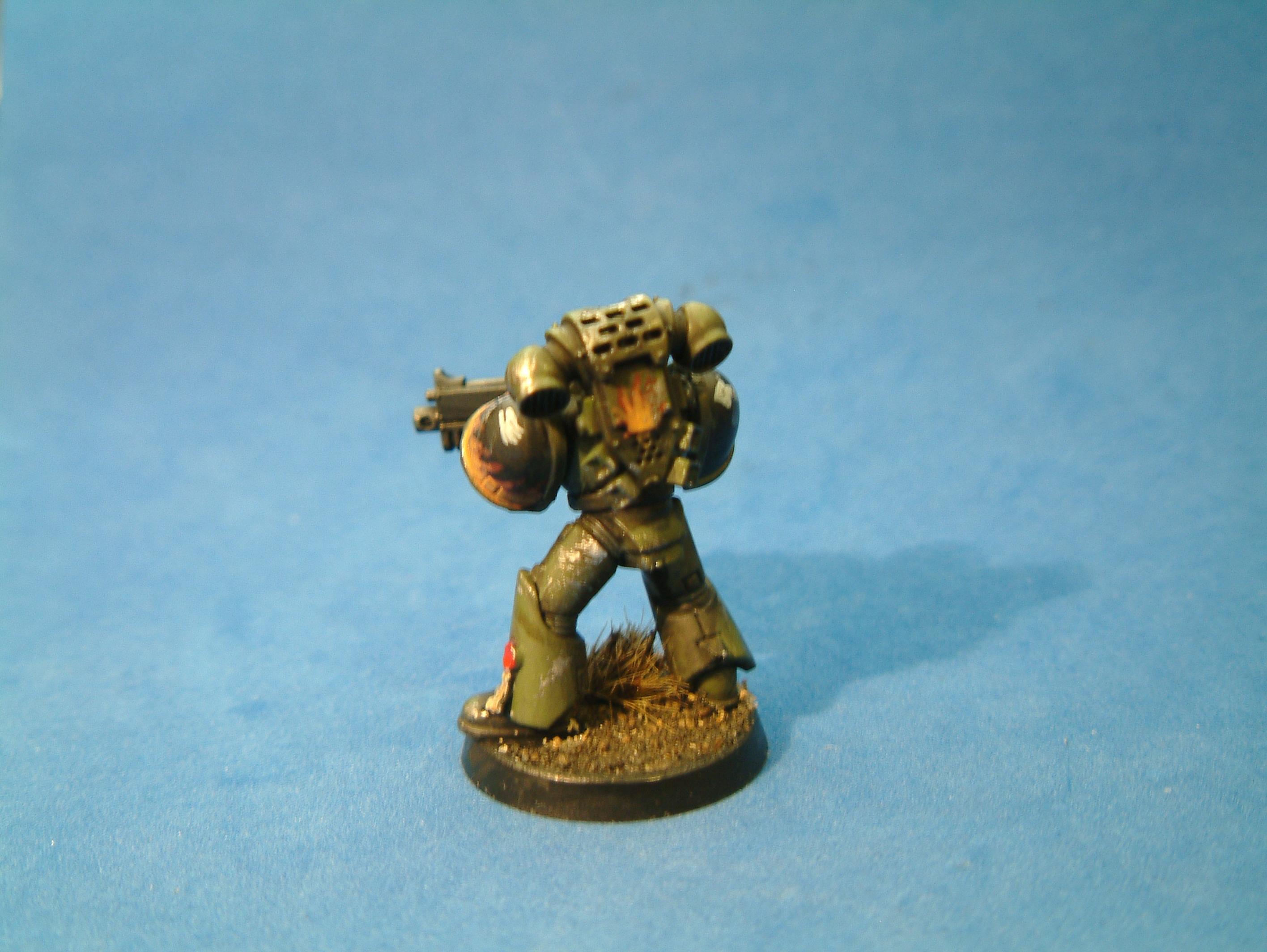 Salamander 4