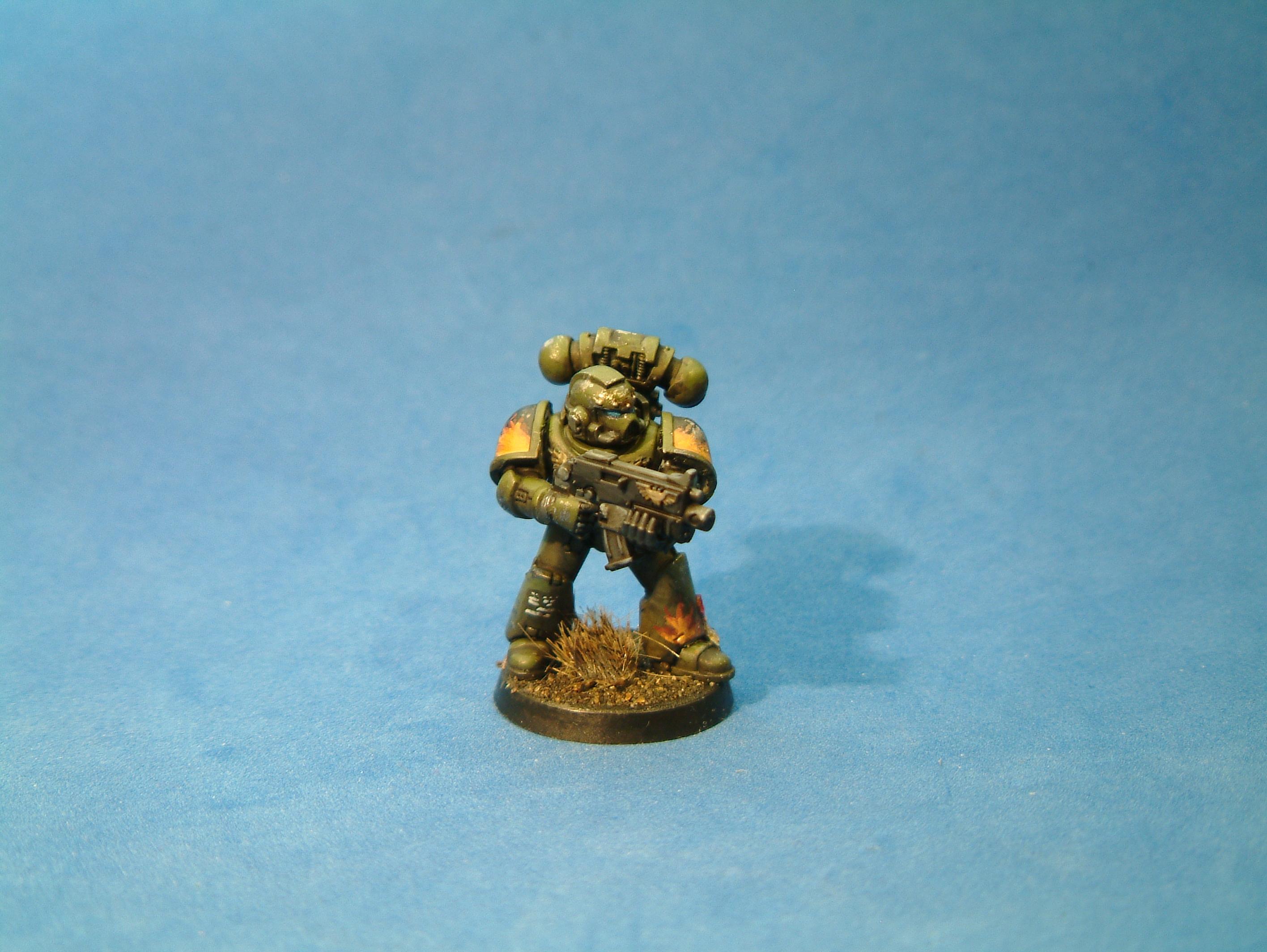 Salamander 4