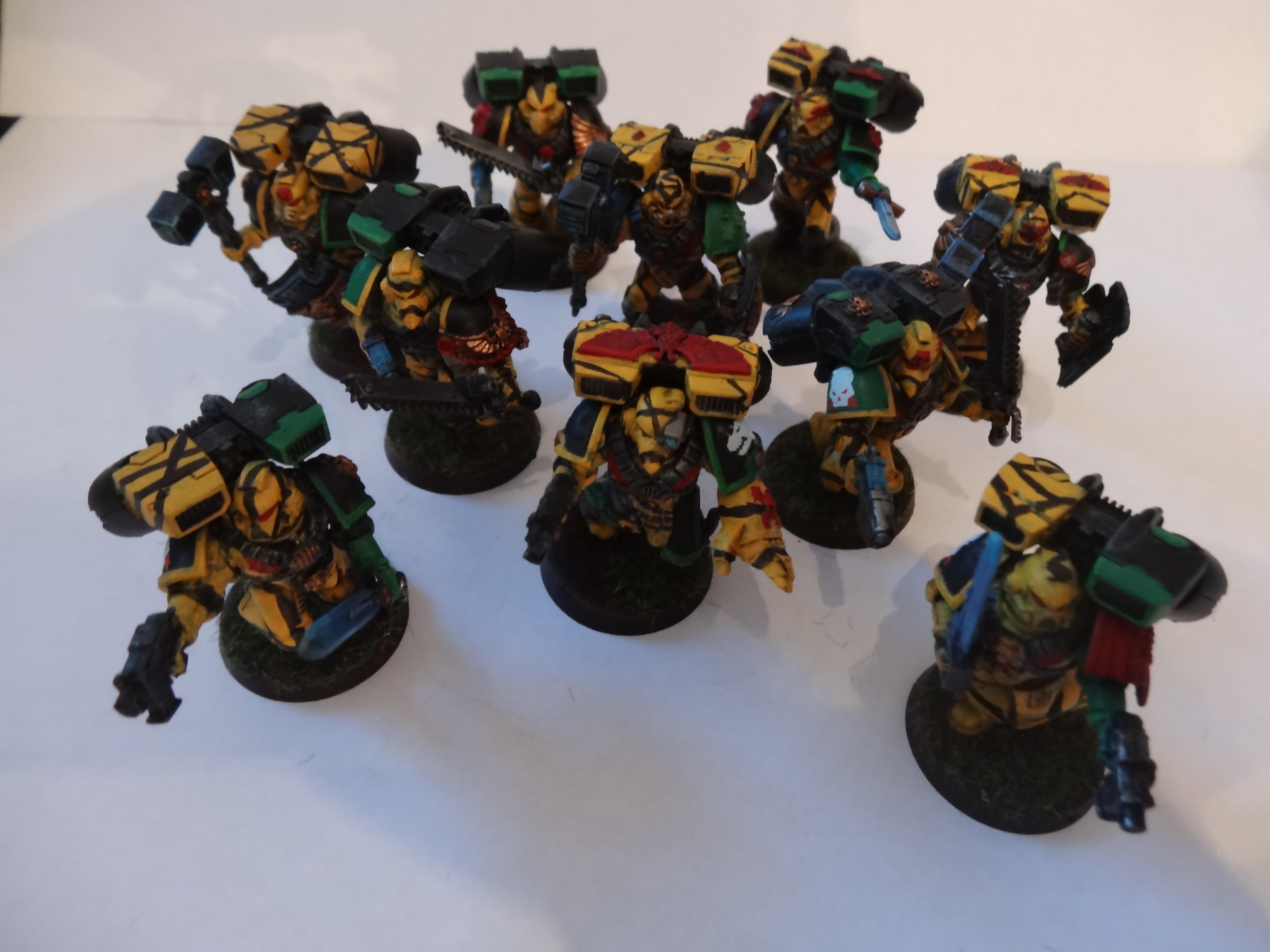 Badab War Salamander Veterans, Vanguard Veterans