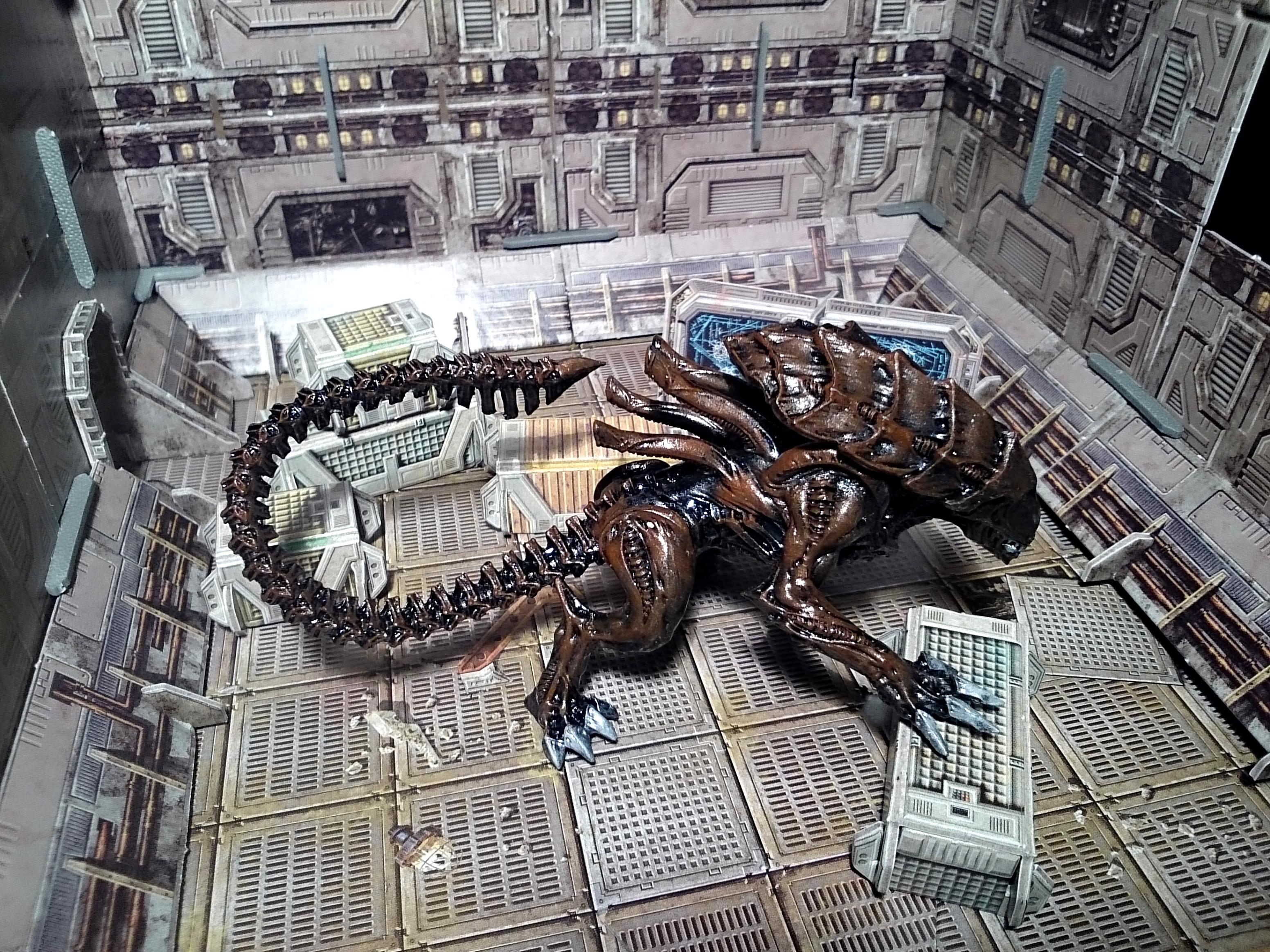 Alien, Avp, Predator, Prodos