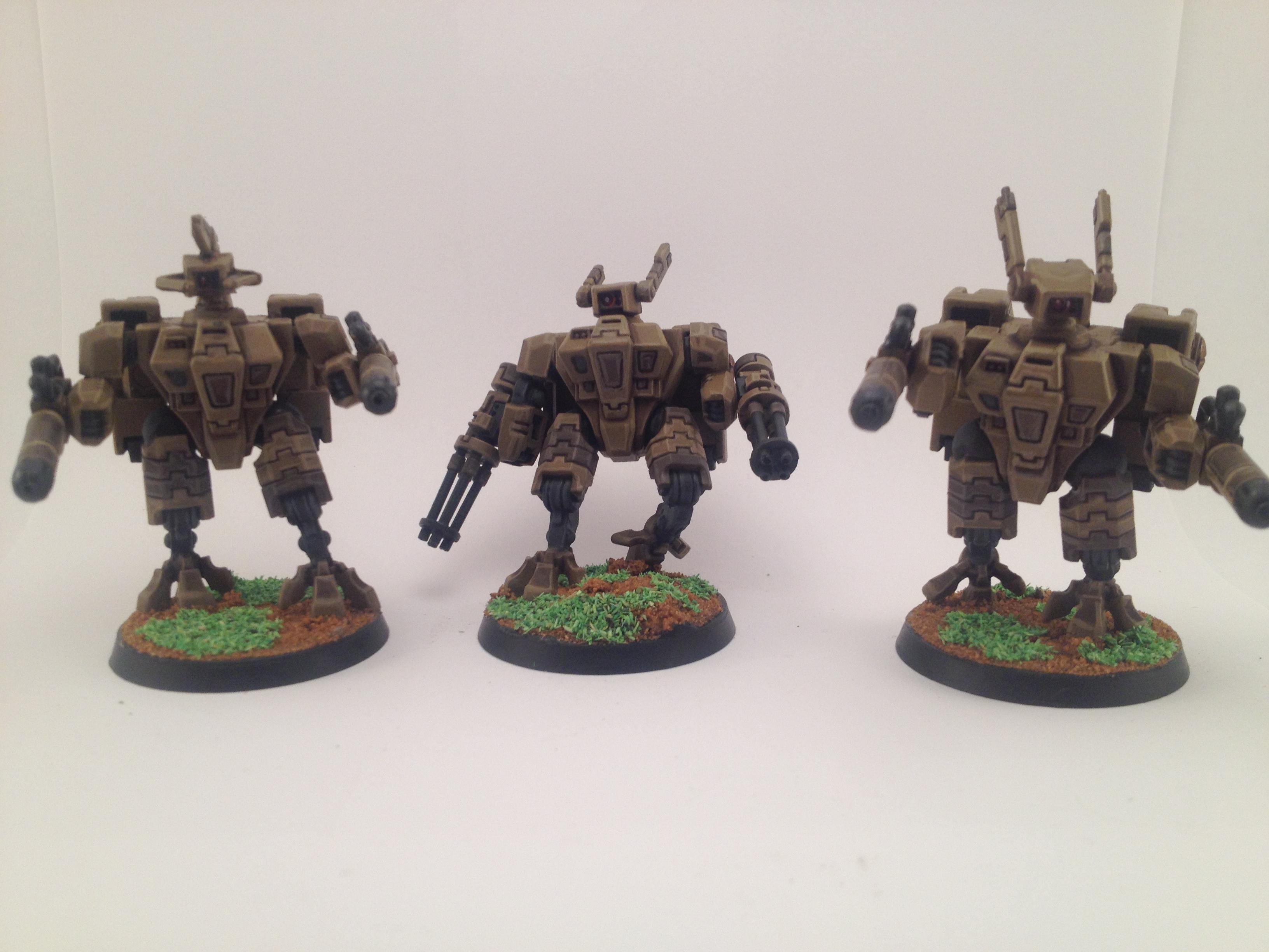 Crisis Team
