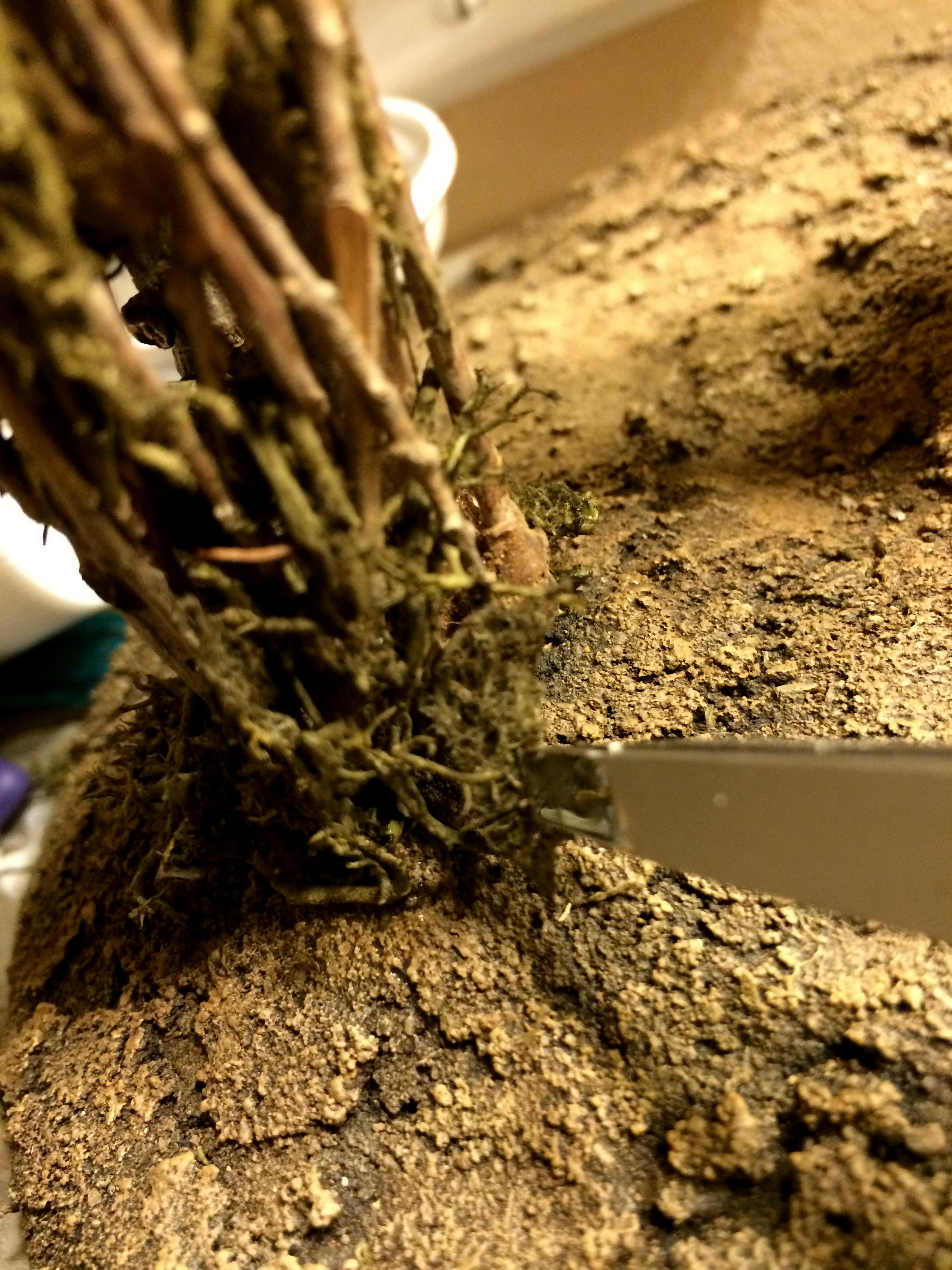 Applying moss