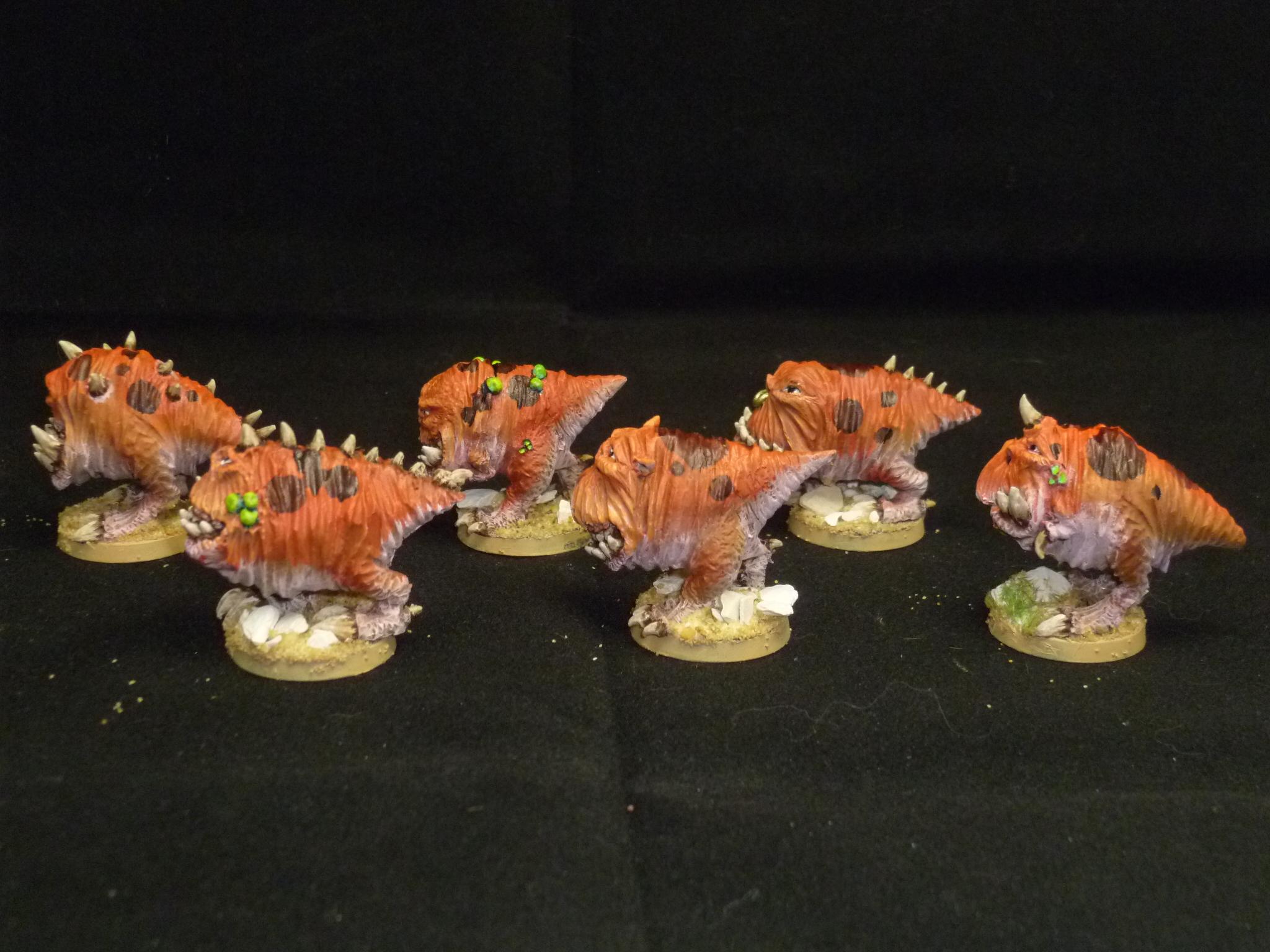 Squigs, Squigz!