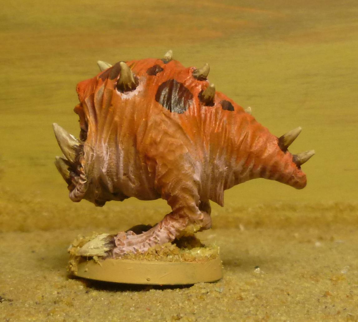 Sammy da Squig