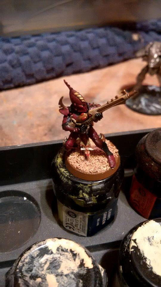 Dark Eldar, Dark Eldar