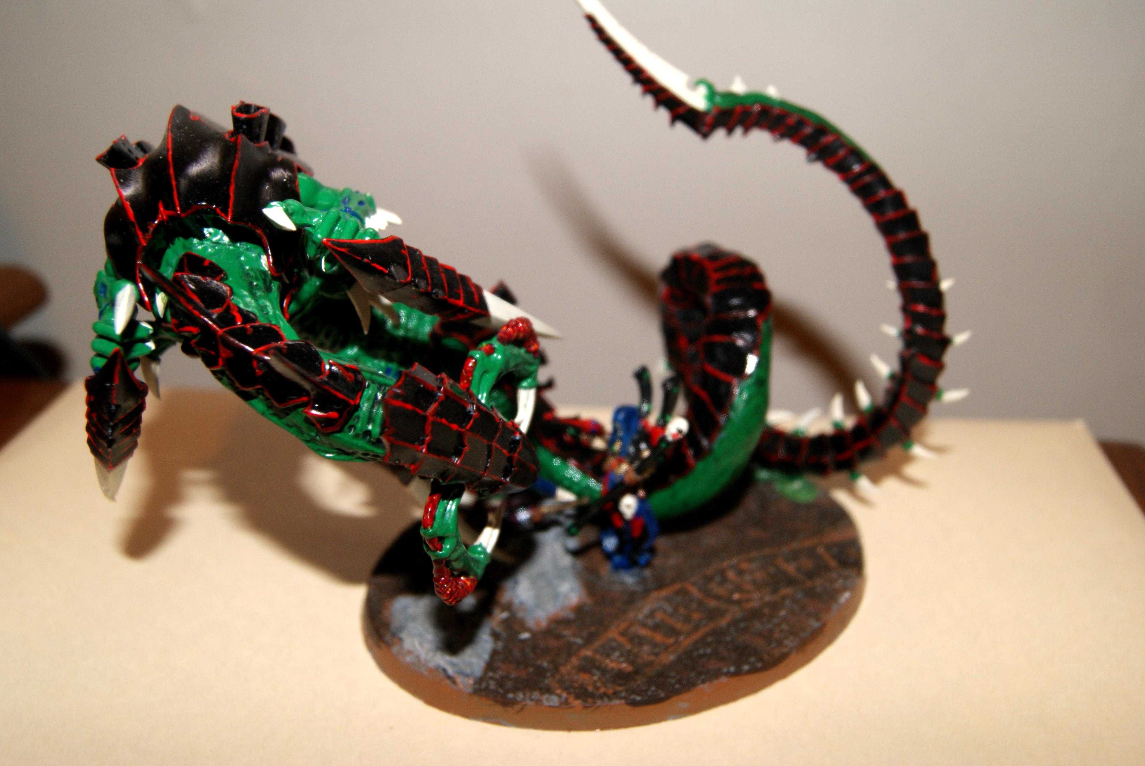 Trygon mostly attached
