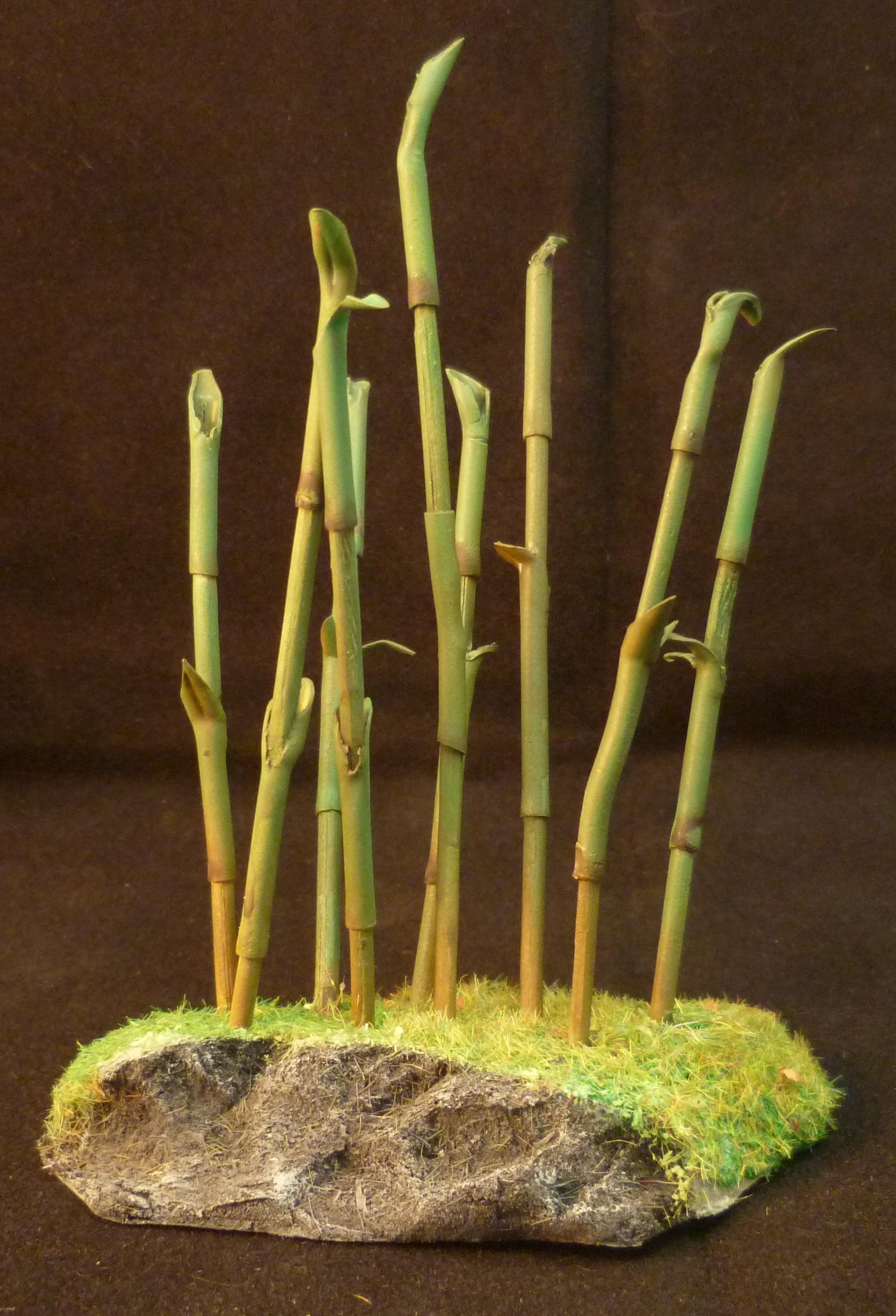 Bamboo forest