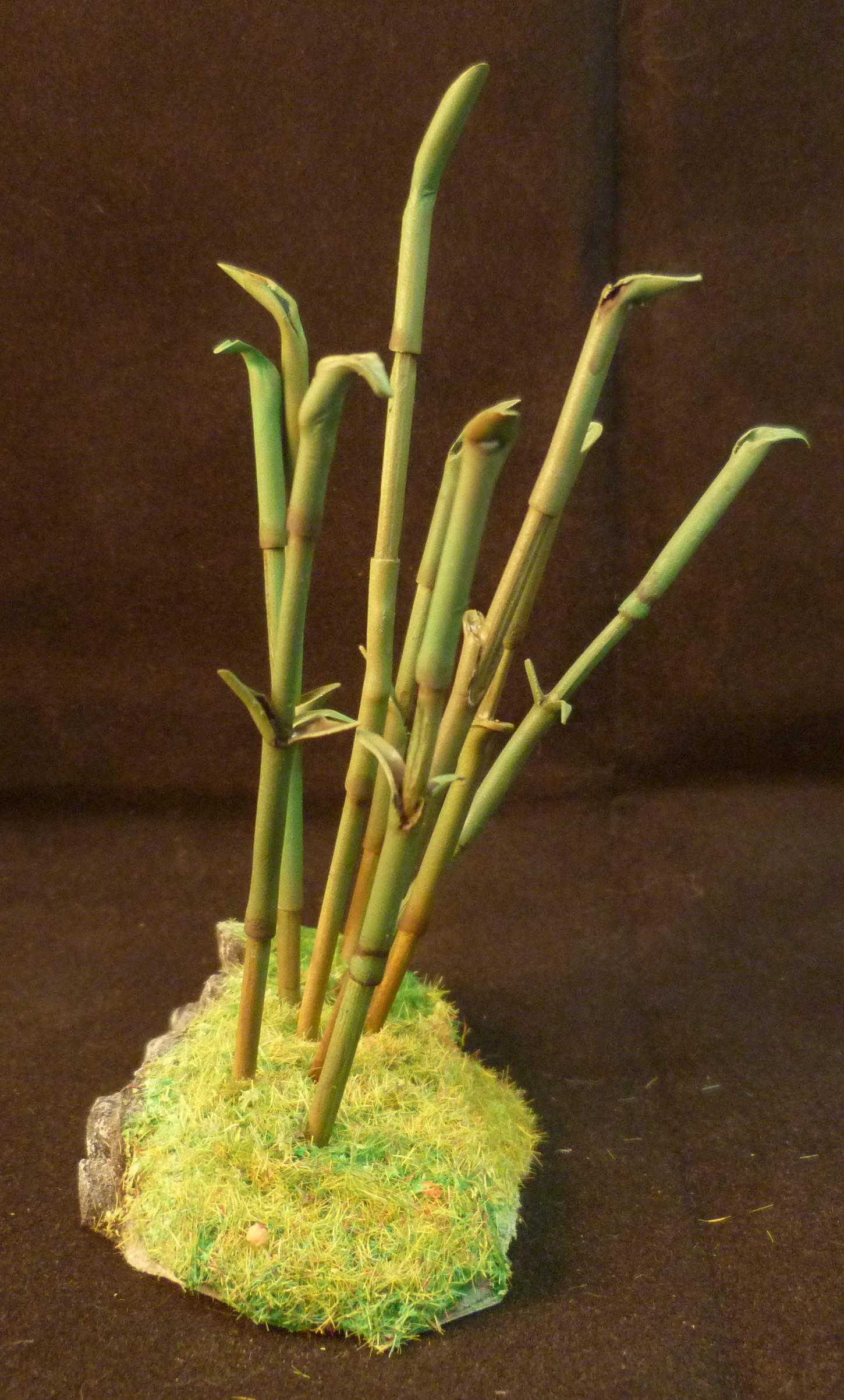 Bamboo forest