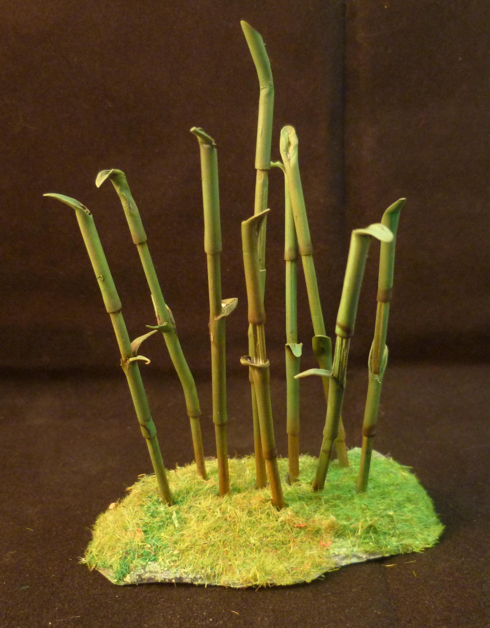 Bamboo forest