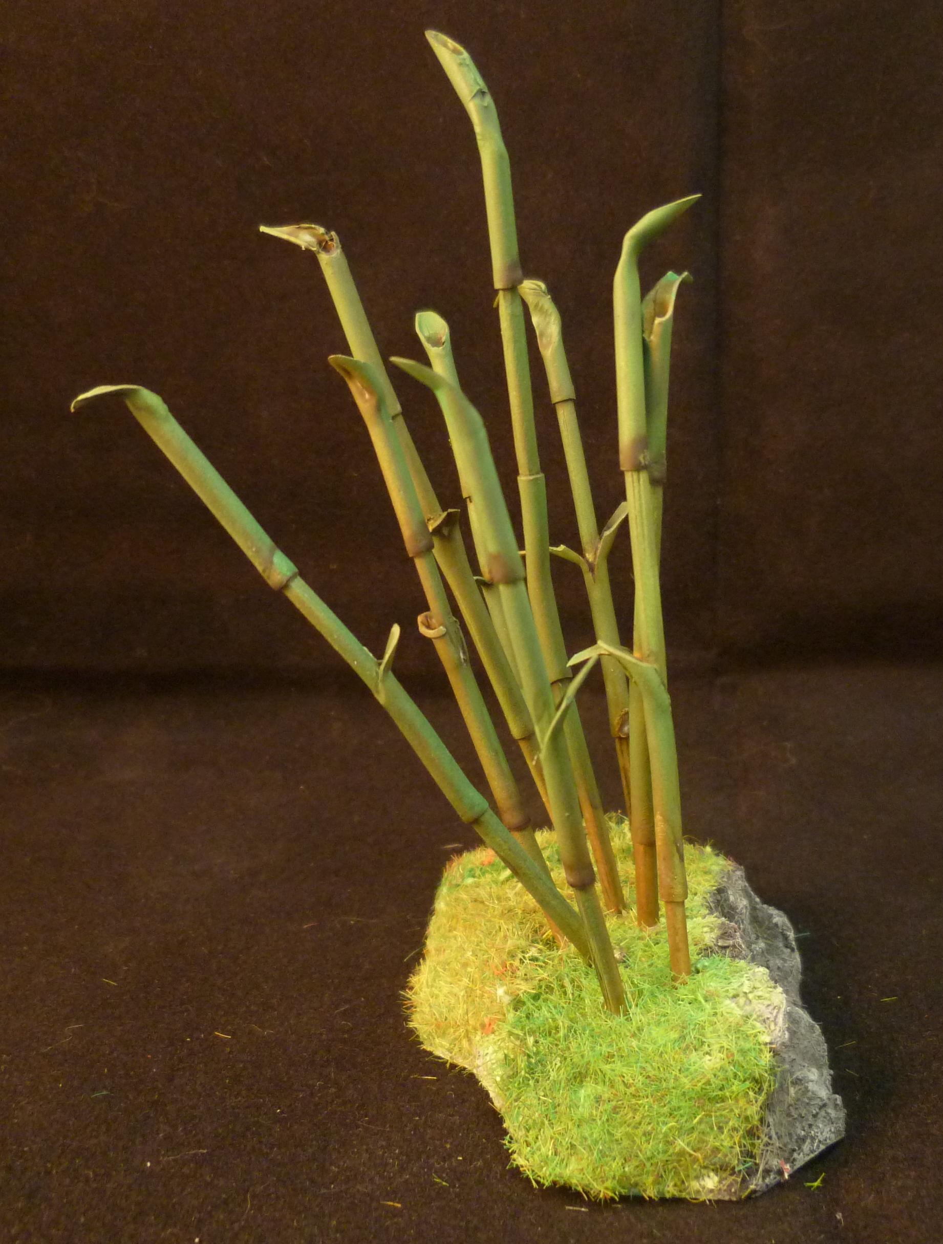 Bamboo forest