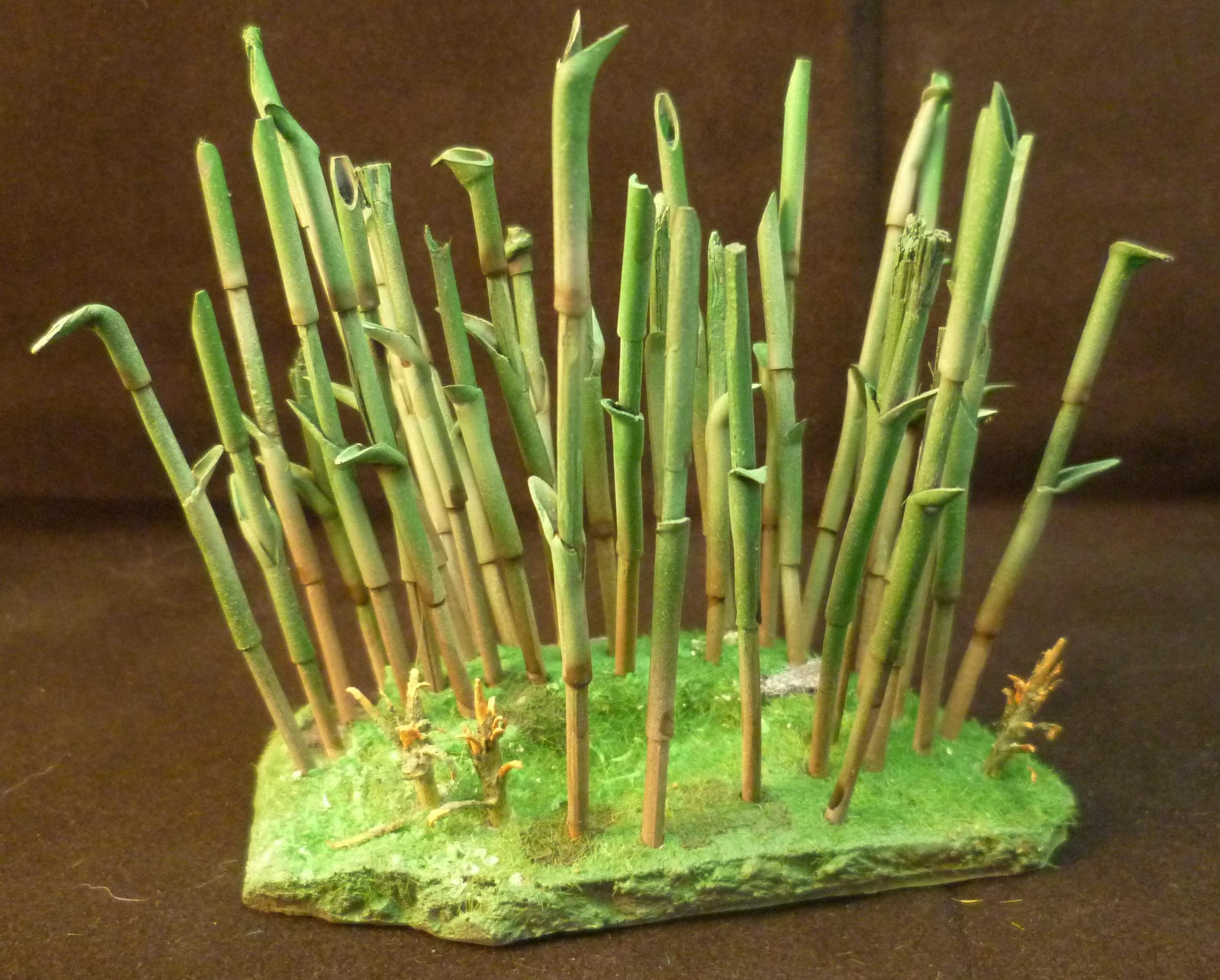 Bamboo forest