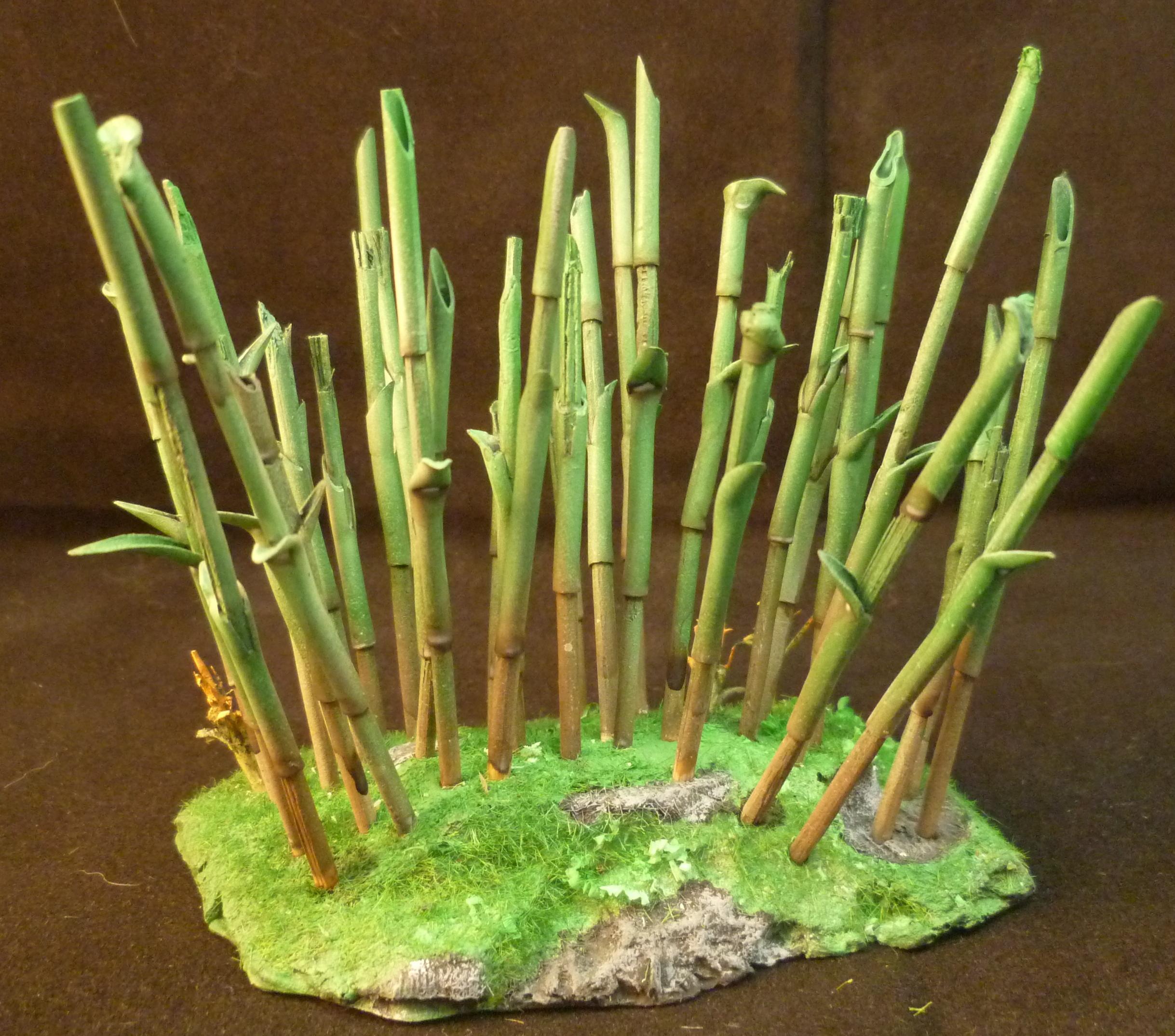 Bamboo forest