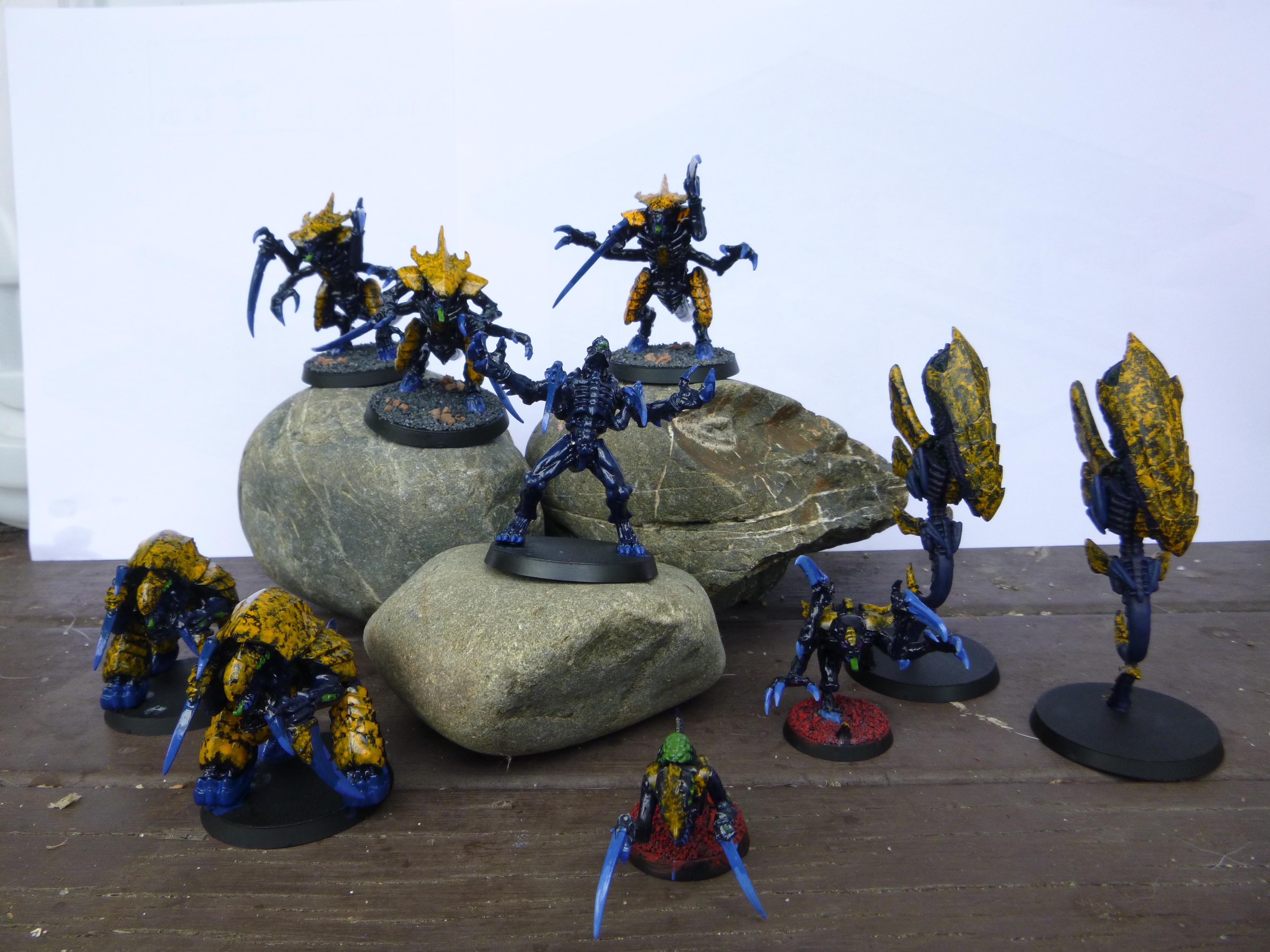 Army, Hive Fleet Ngaro, Tyranids