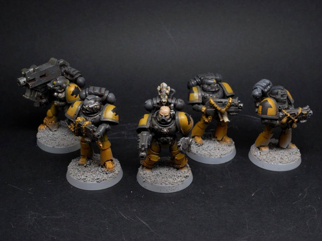 TIGER CLAWS - Tacticals