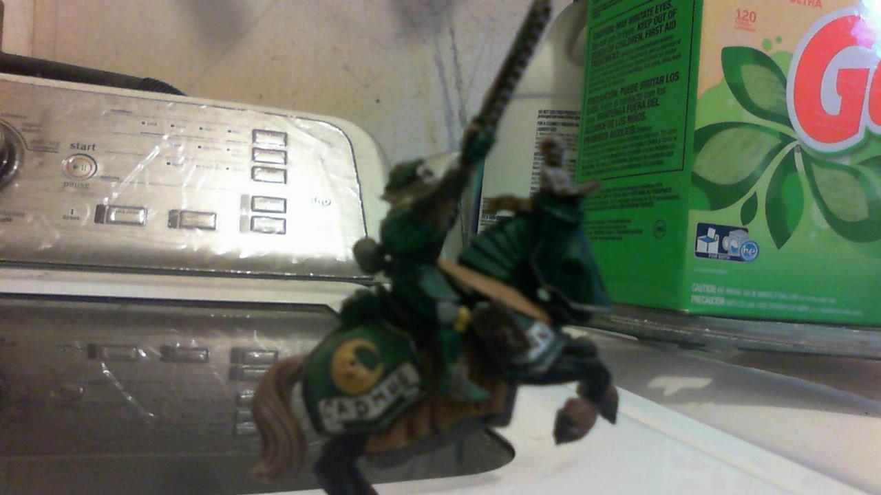 Dain a Sgt of my rough riders wip