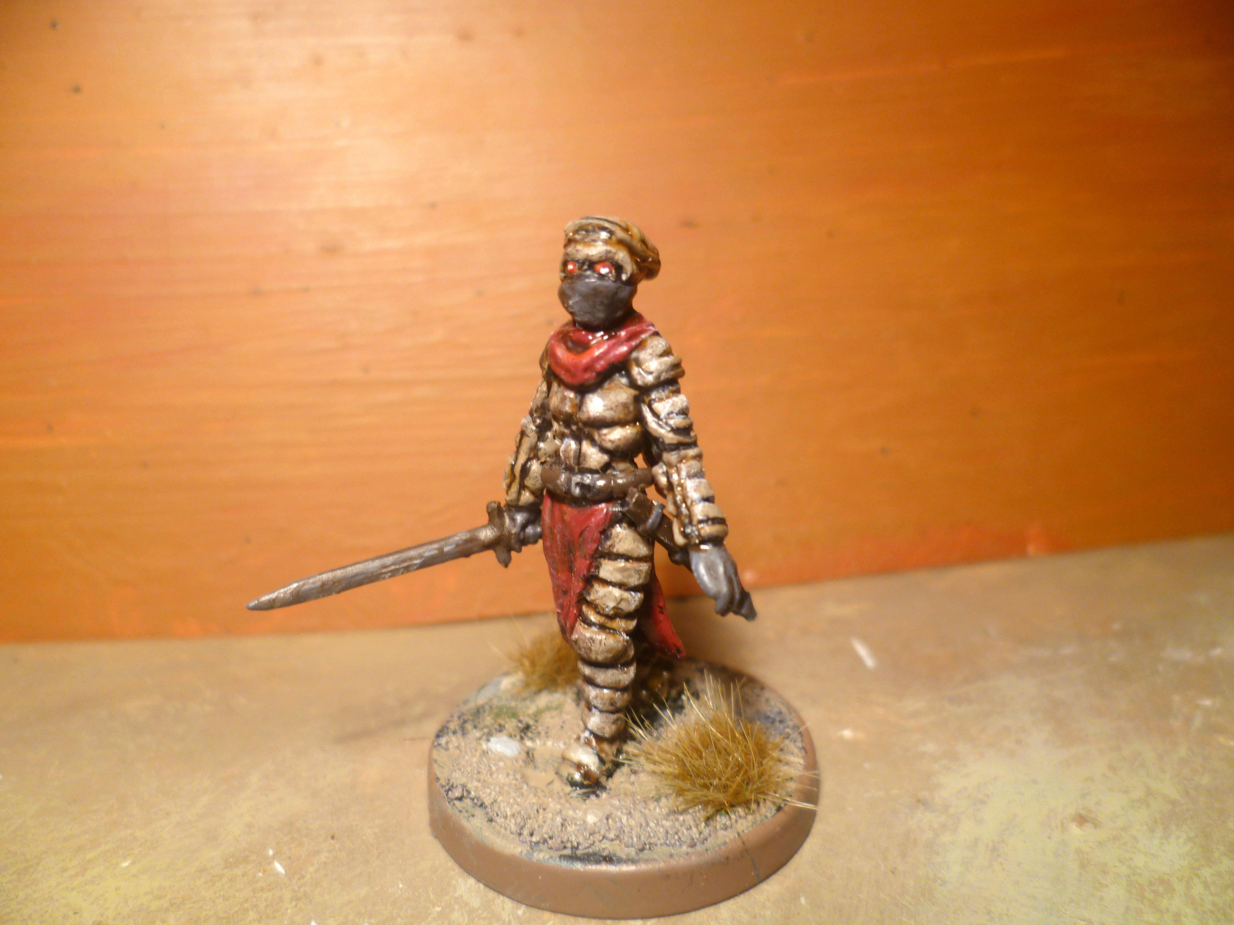 Chitin Warrior