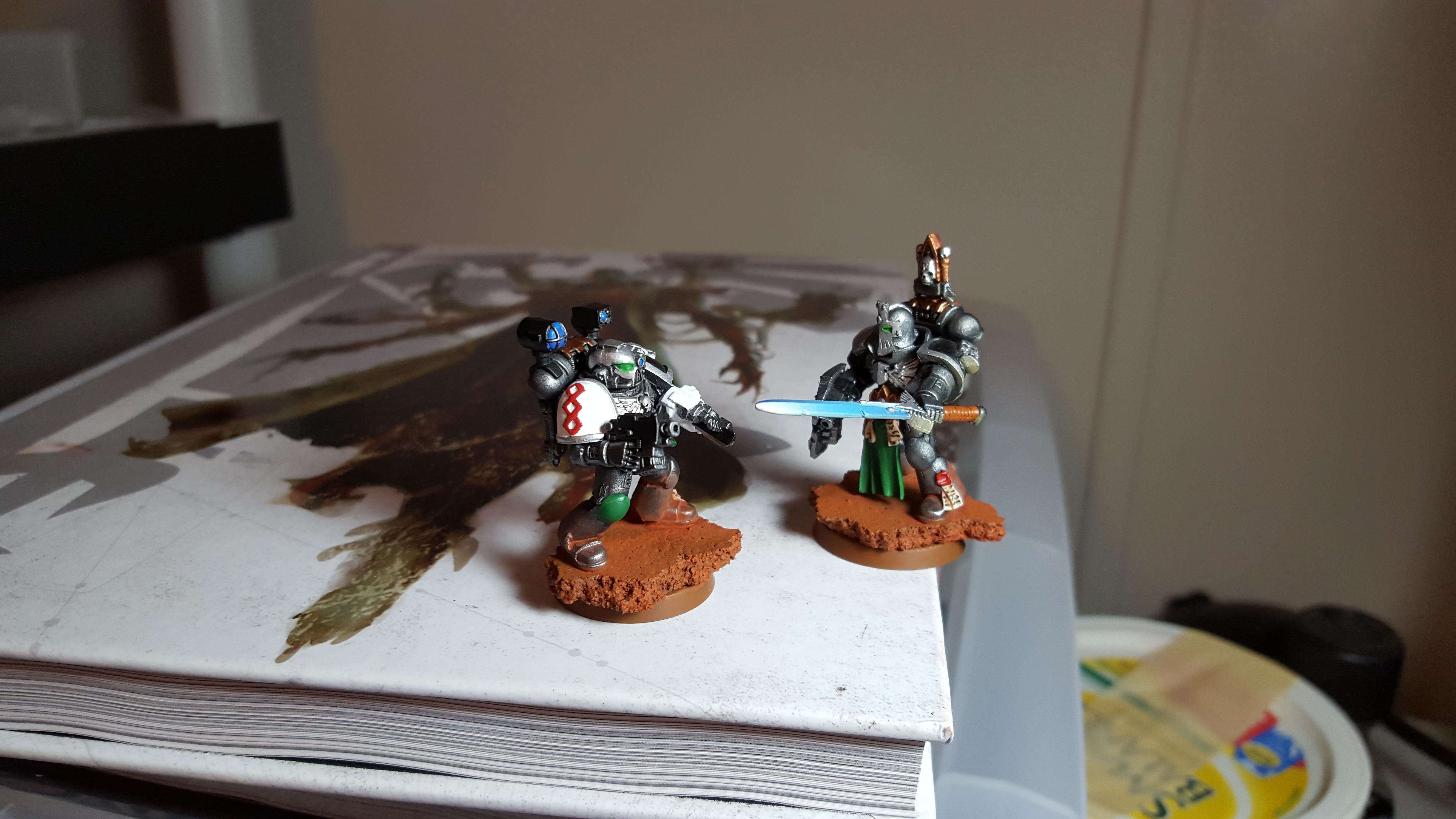 Apothecary, Champion, Silver Skulls, Space Marines