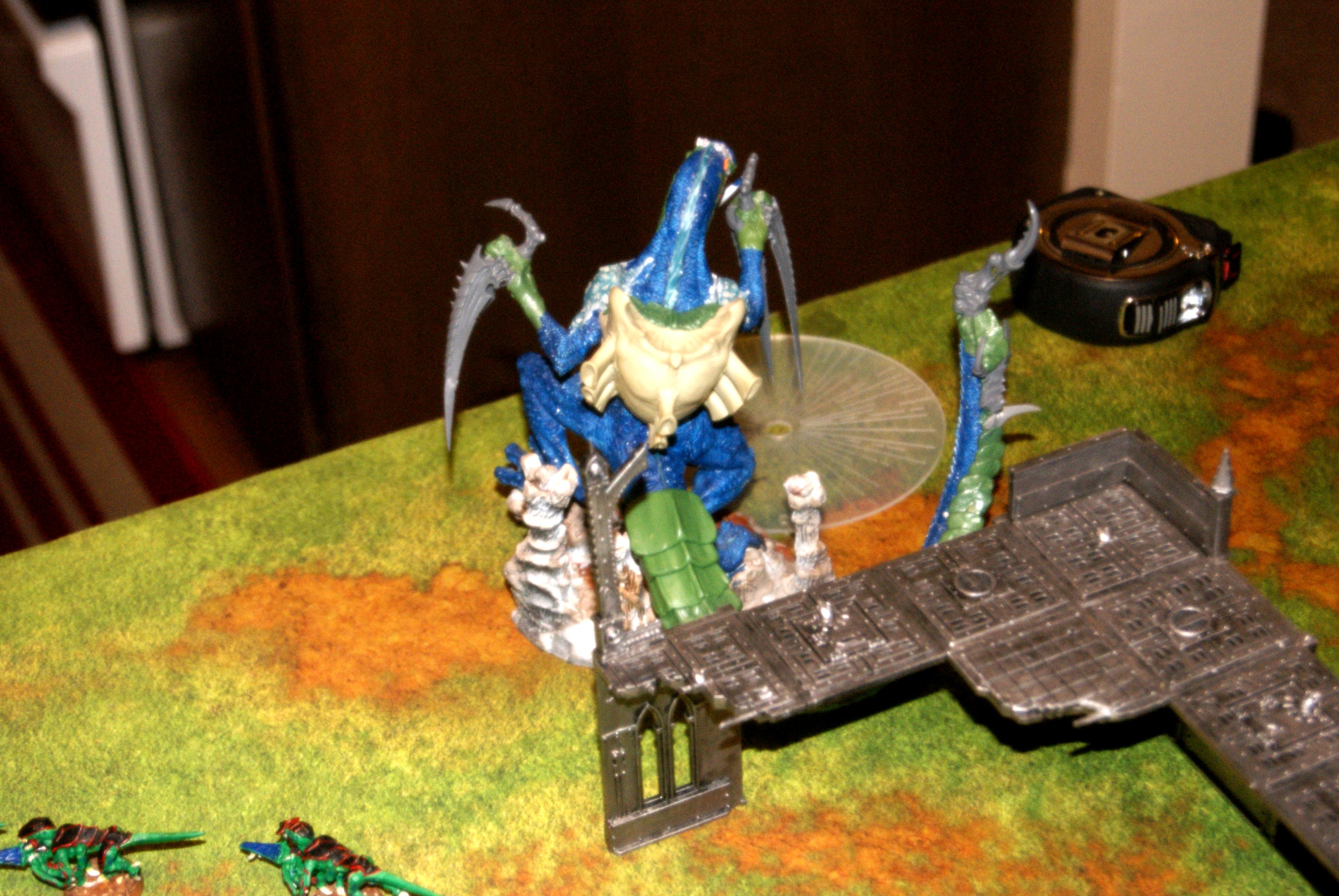 T6 Dima hides