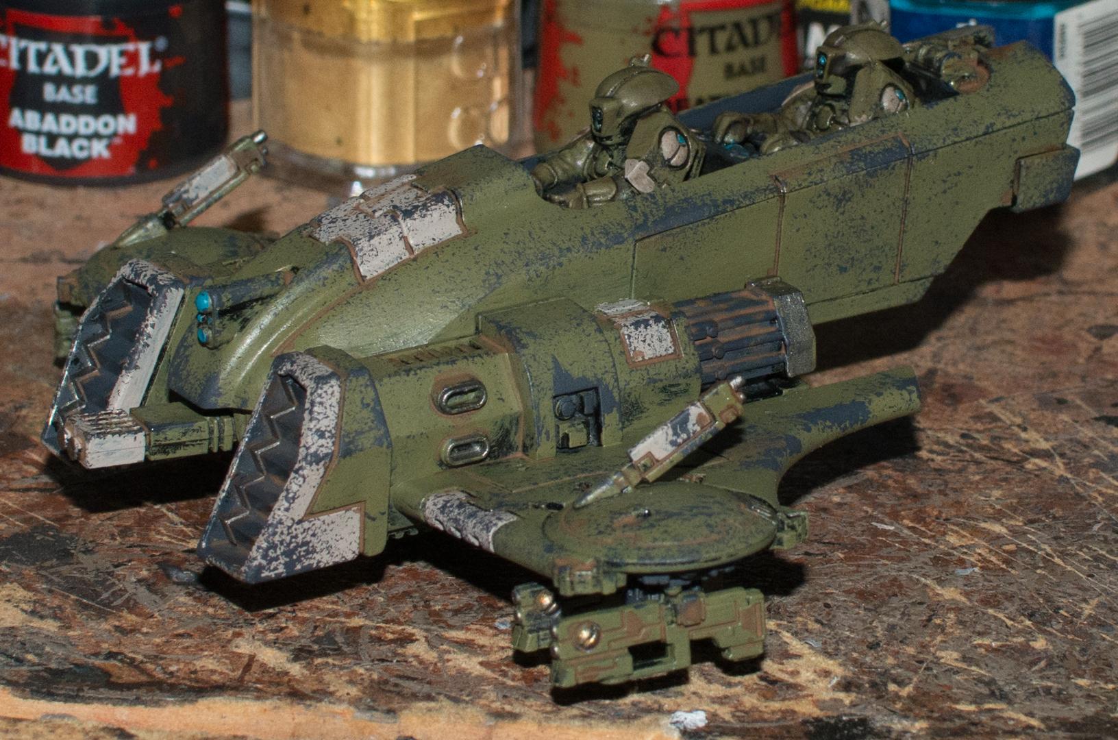 Pirhana, Tau, Tau Piranha